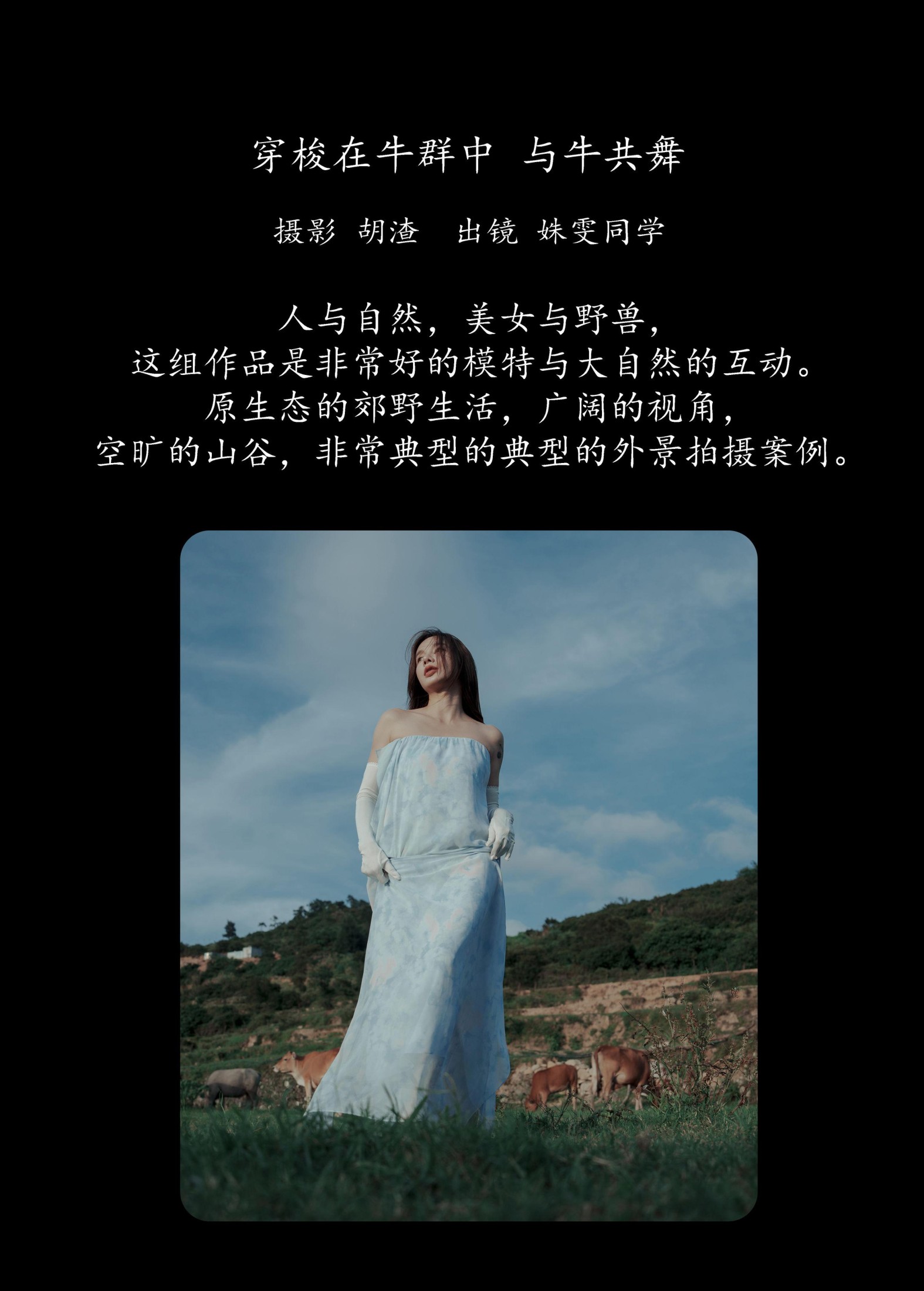 姝雯同学 – 《穿梭在牛群中，与牛共舞》[43P] 插图2