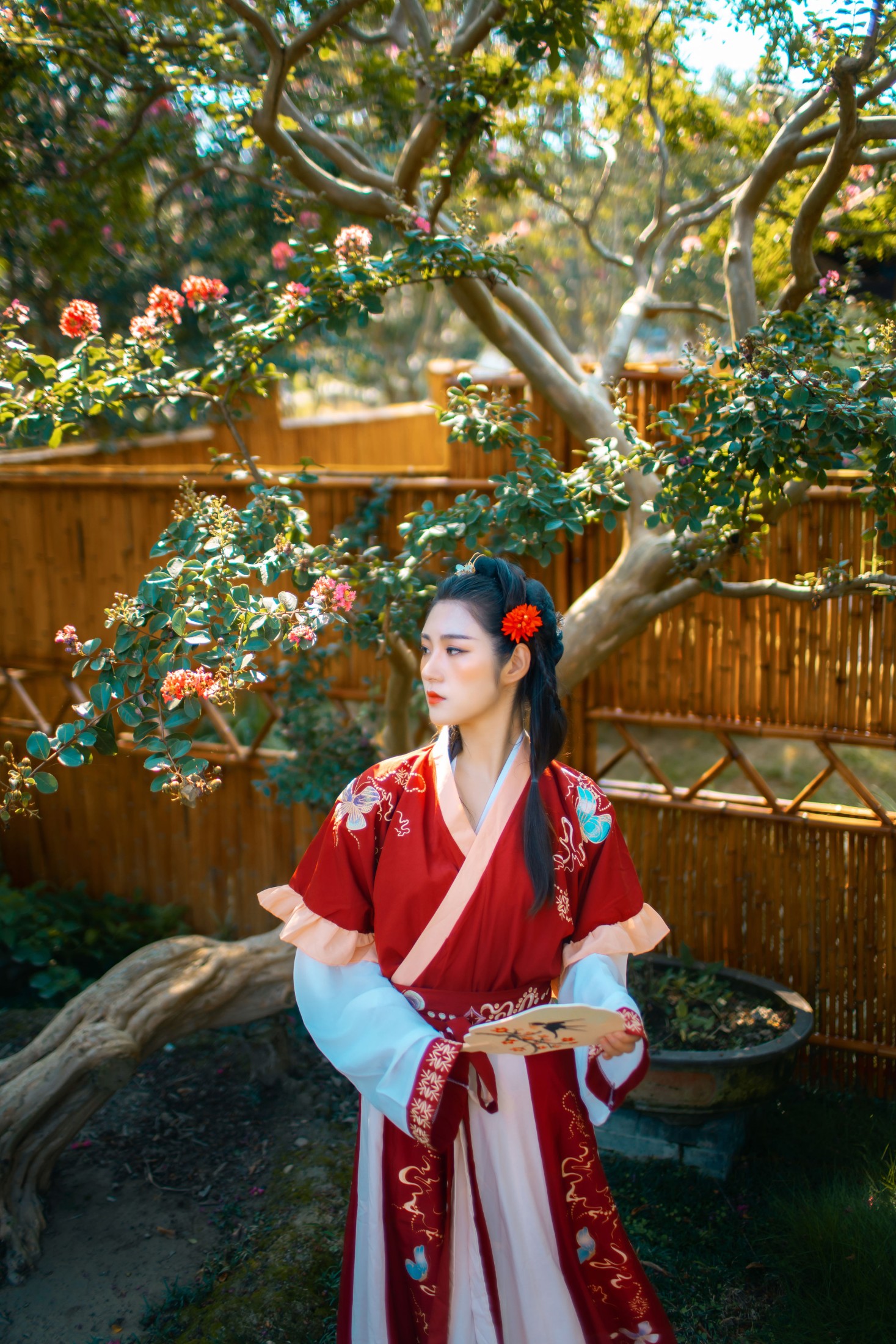 琴子 – 《醉花阴》[43P] 插图4