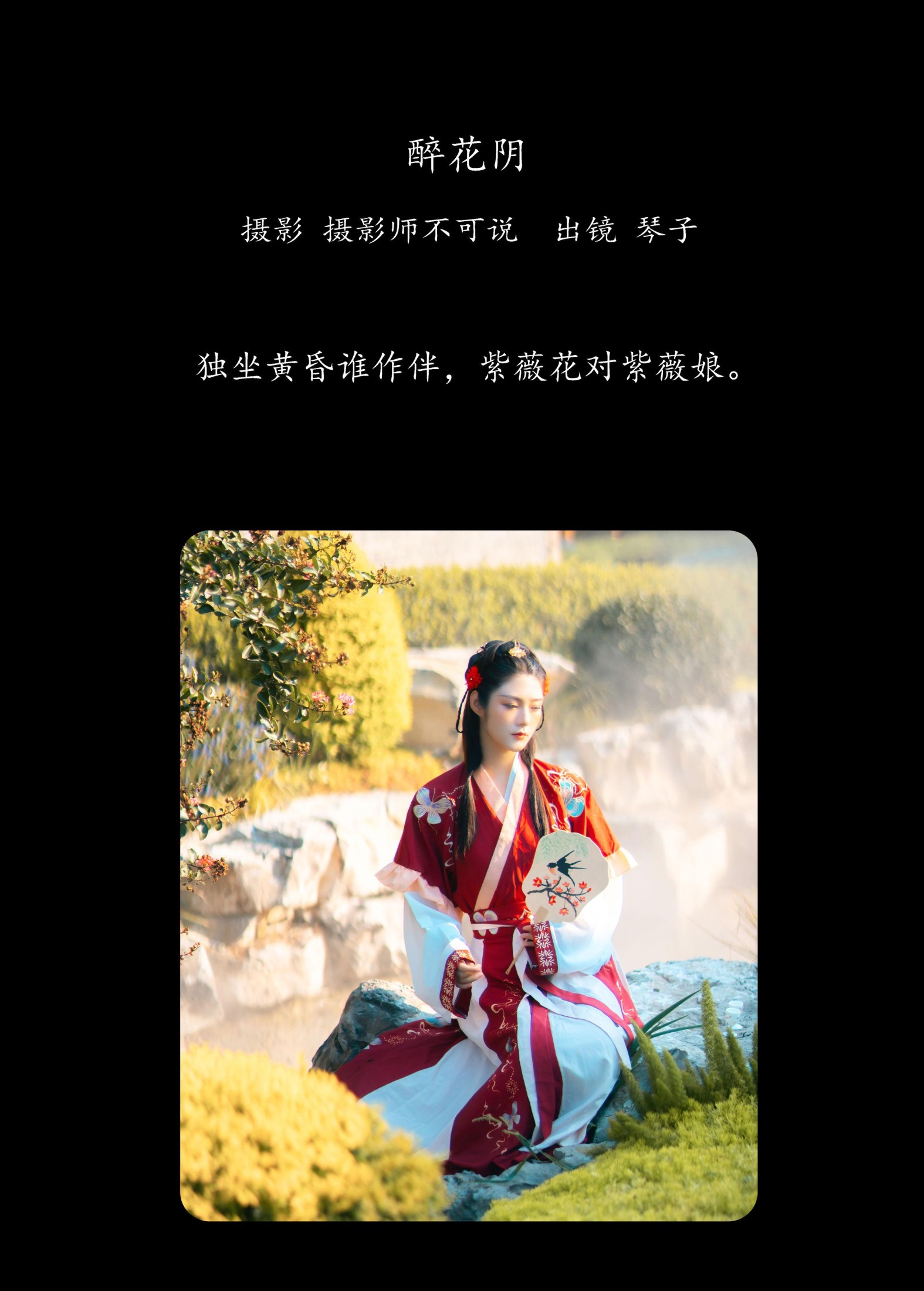 琴子 – 《醉花阴》[43P] 插图2