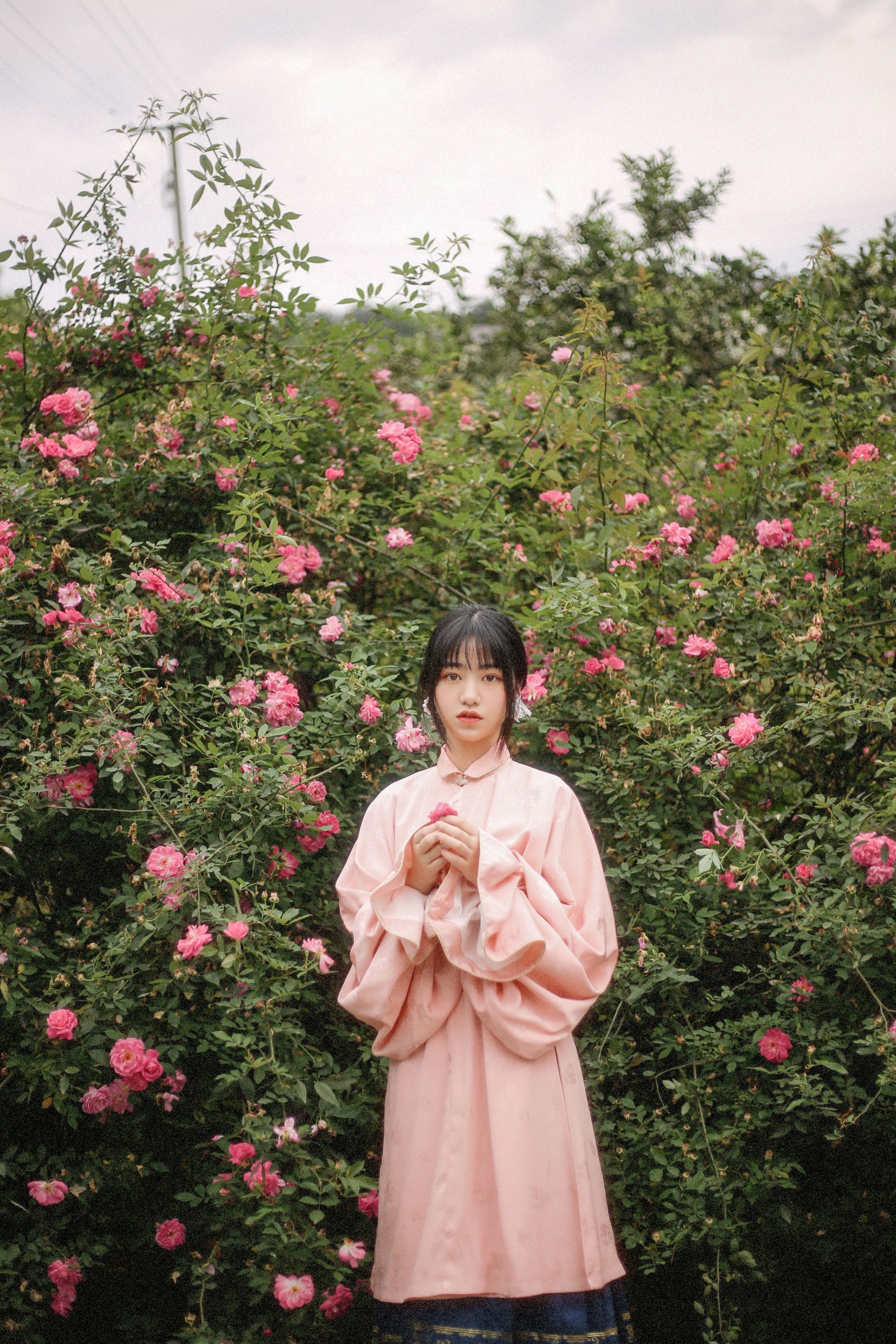 panniling – 《蔷薇花开》[30P] 插图5