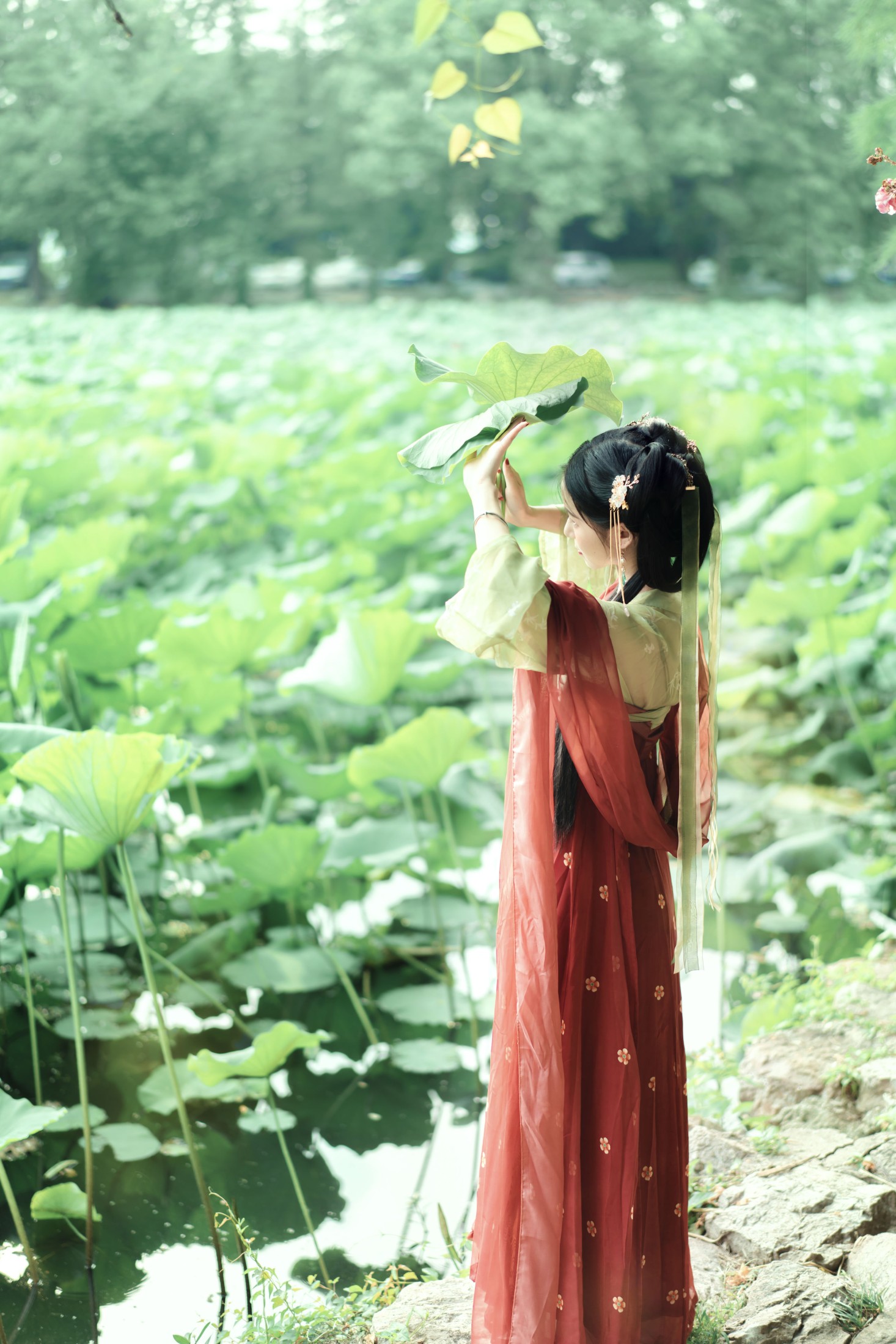 仓央是大魔王 – 《夏荷》[21P] 插图5