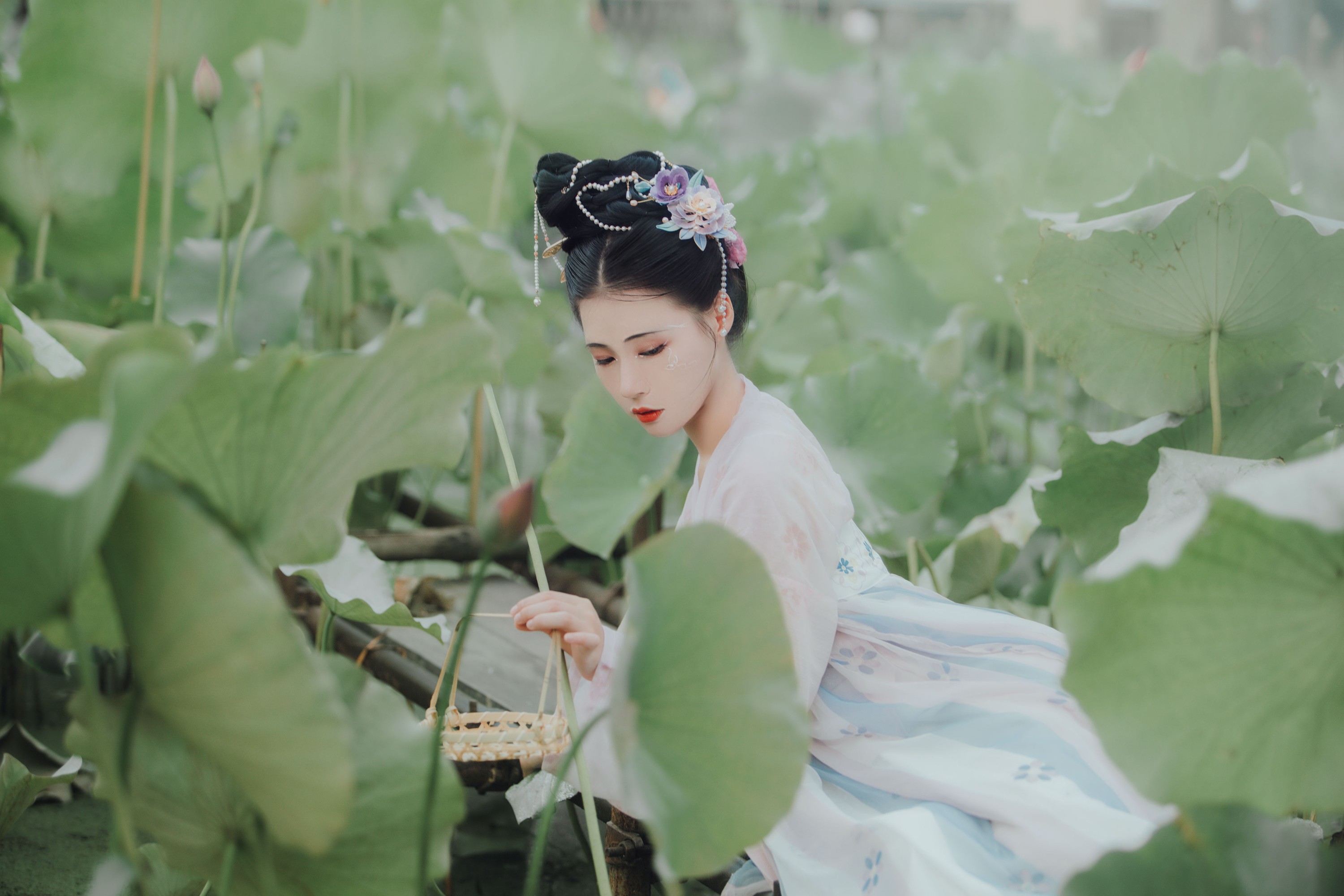 双翮 – 《如梦令》[22P] 插图3