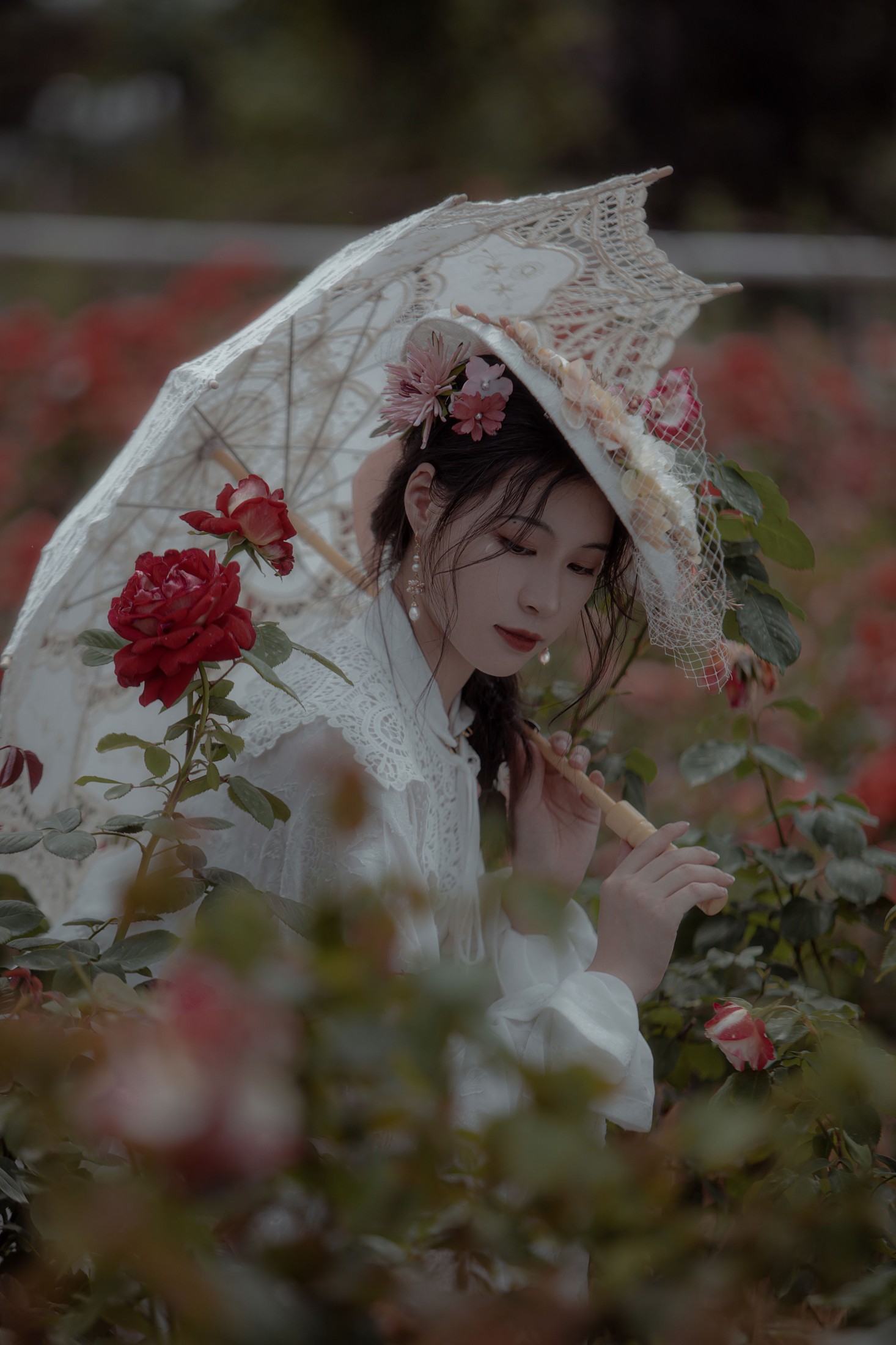 双翮 – 《玫瑰》[28P] 插图5