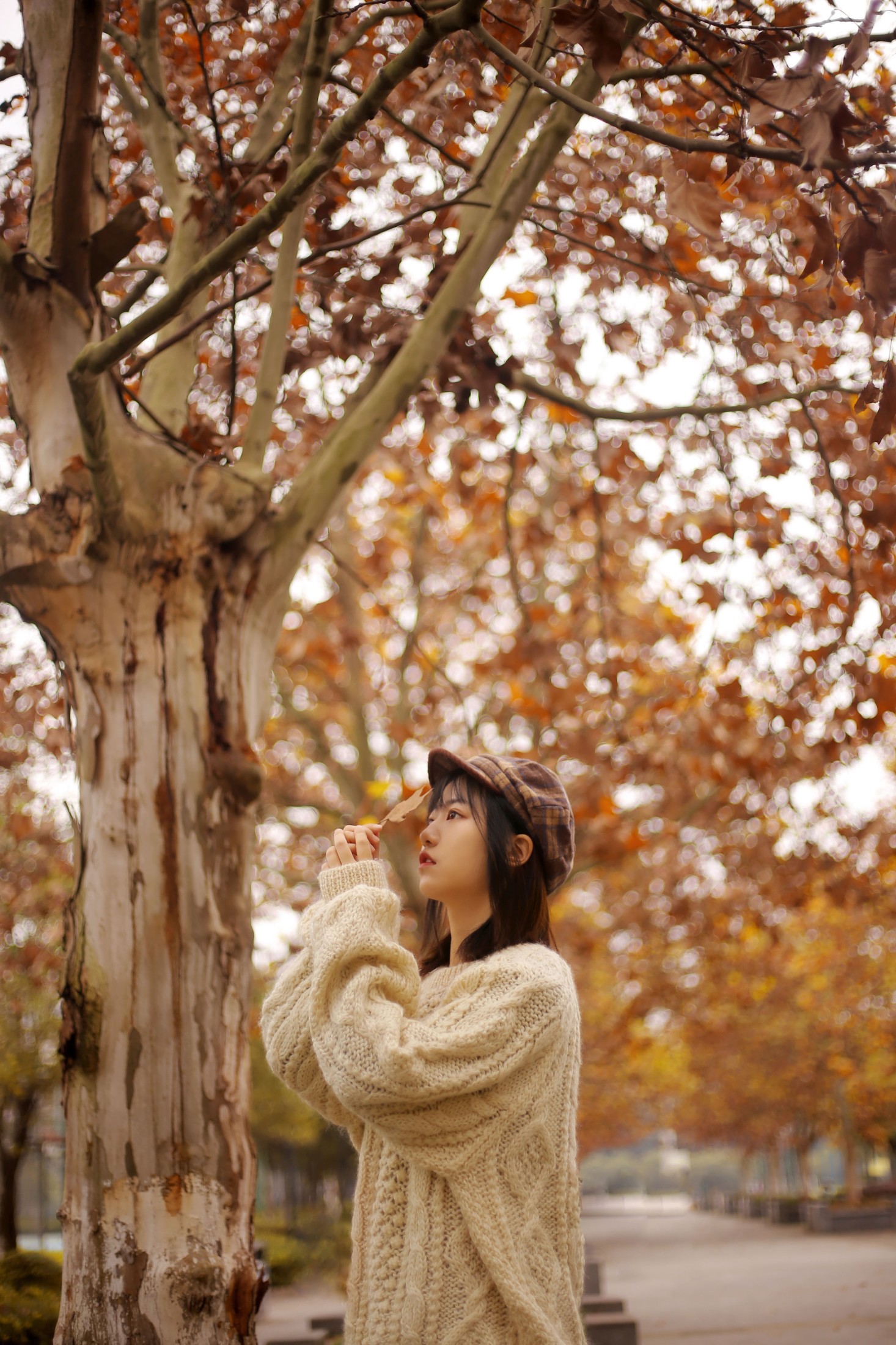 panniling – 《枫叶》[30P] 插图3