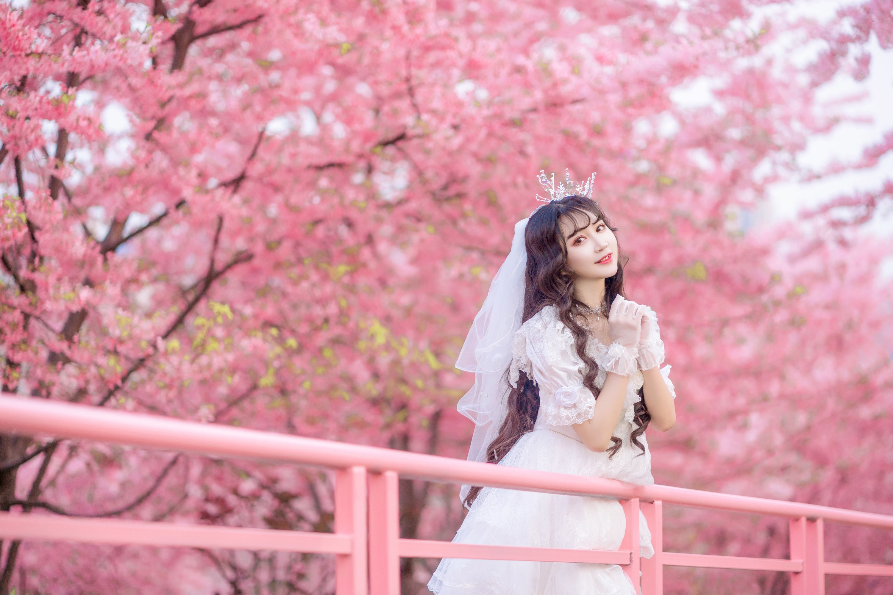 绮罗生的小苏苏 – 《花嫁》[26P] 插图3