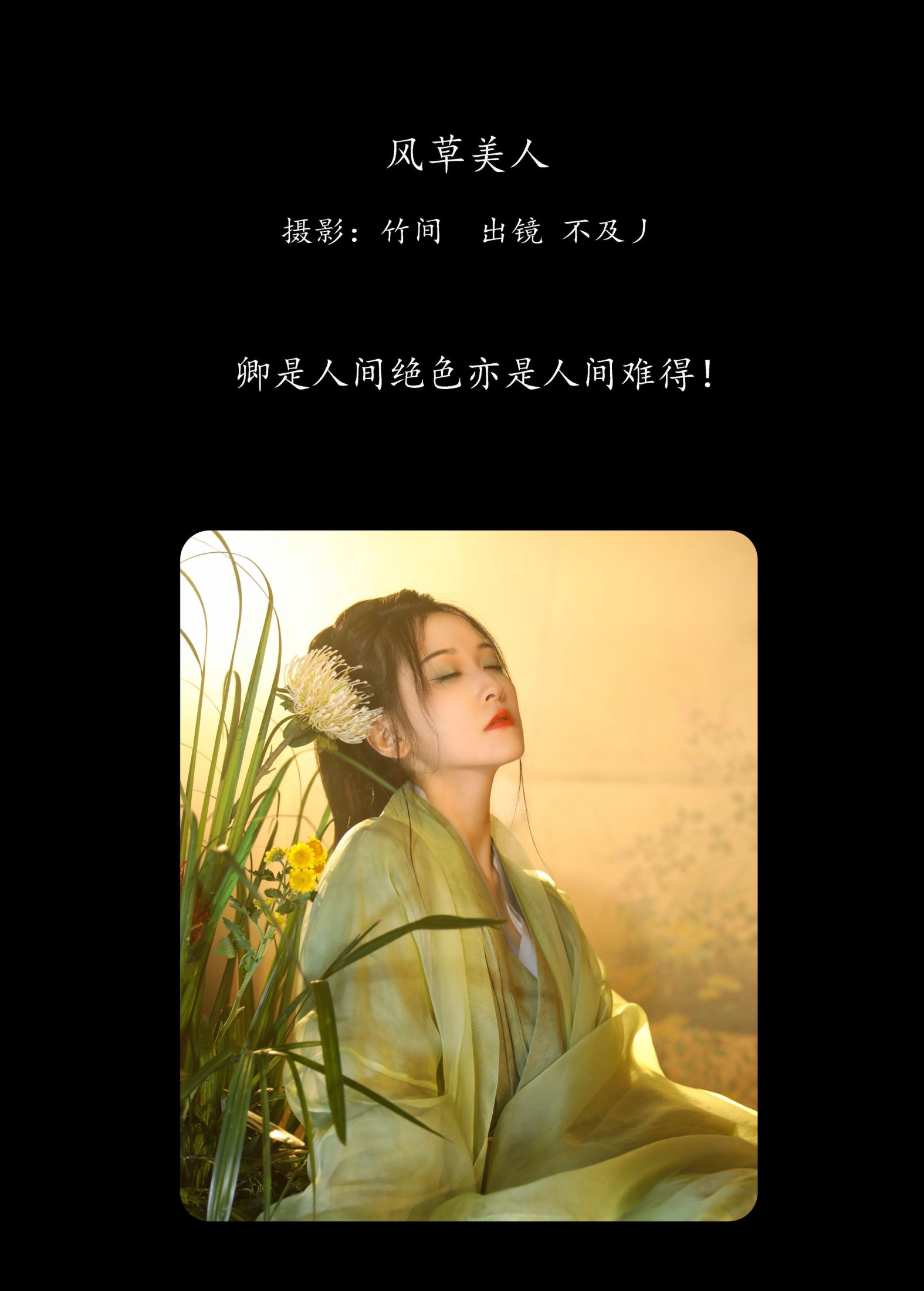 不及丿 – 《风草美人》[35P] 插图2