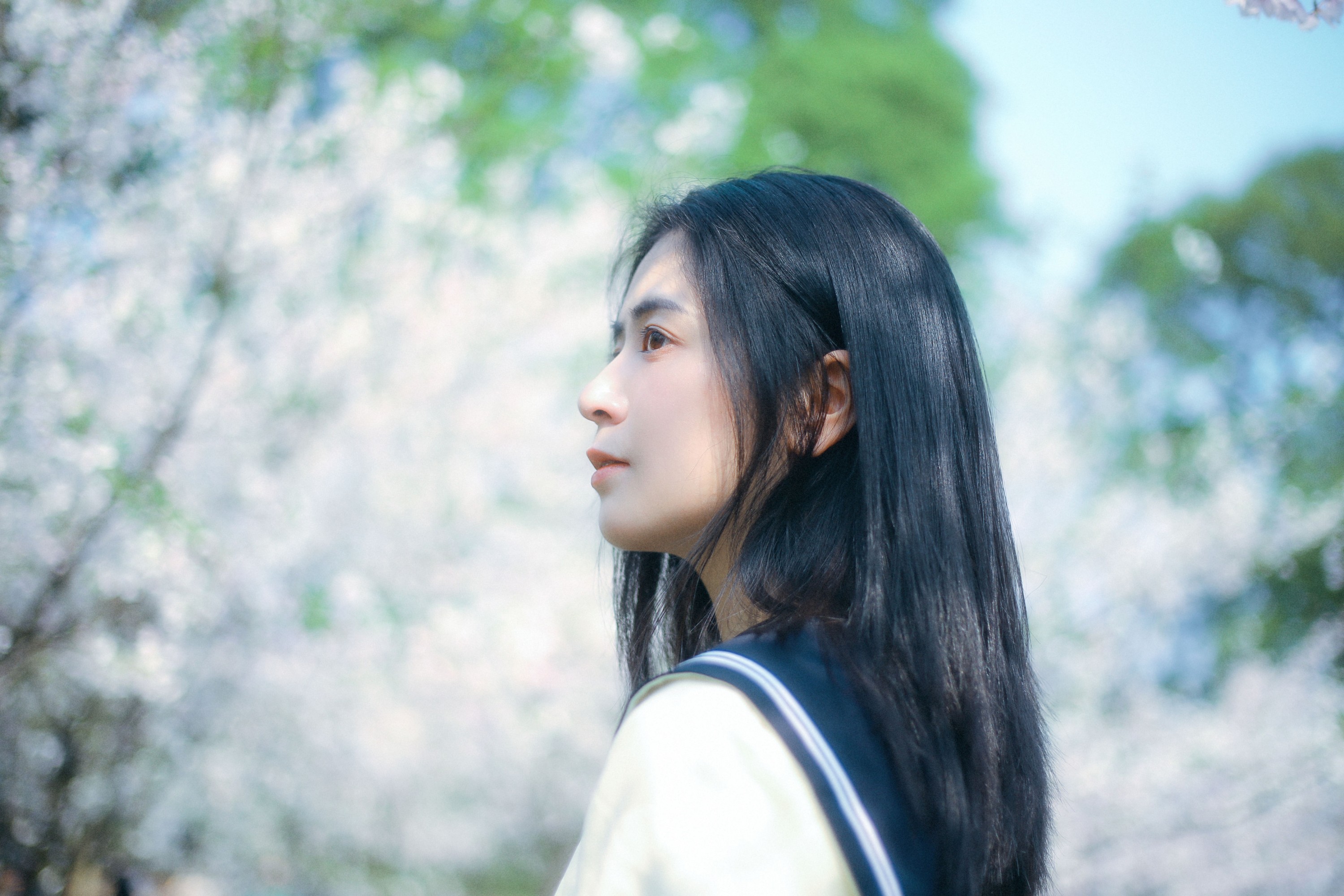 瞳人儿 – 《春日早樱》[22P] 插图5