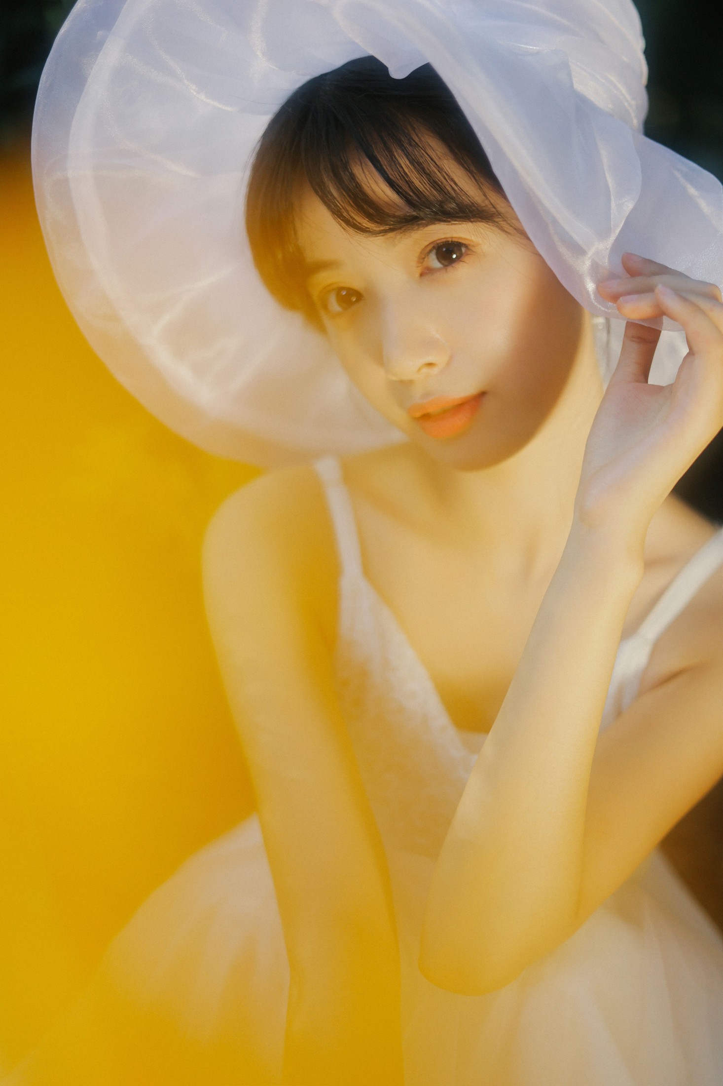 一只阿梦崽 – 《光芒》[41P] 插图4