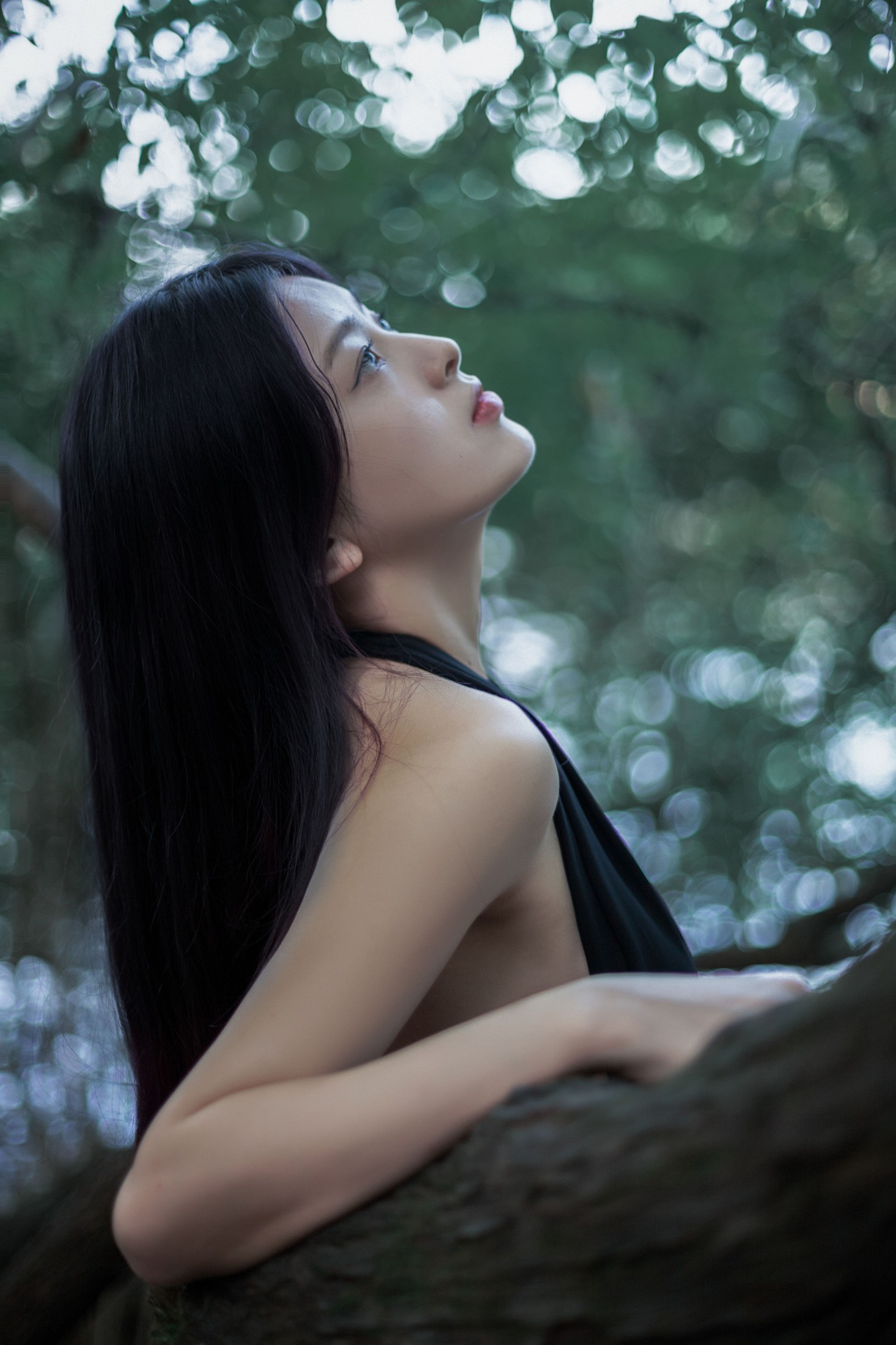 张张包 – 《安静的绿》[25P] 插图5