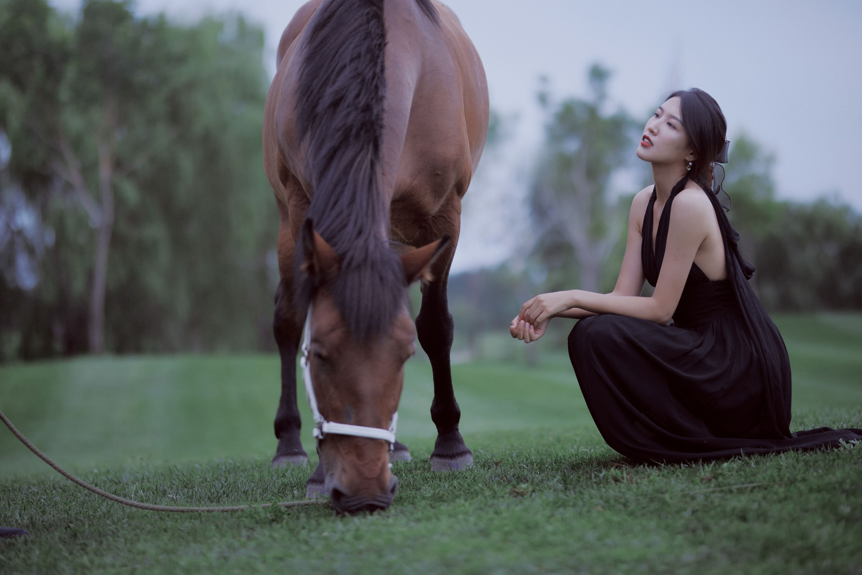 阿妮是我啊 – 《马》[21P] 插图4