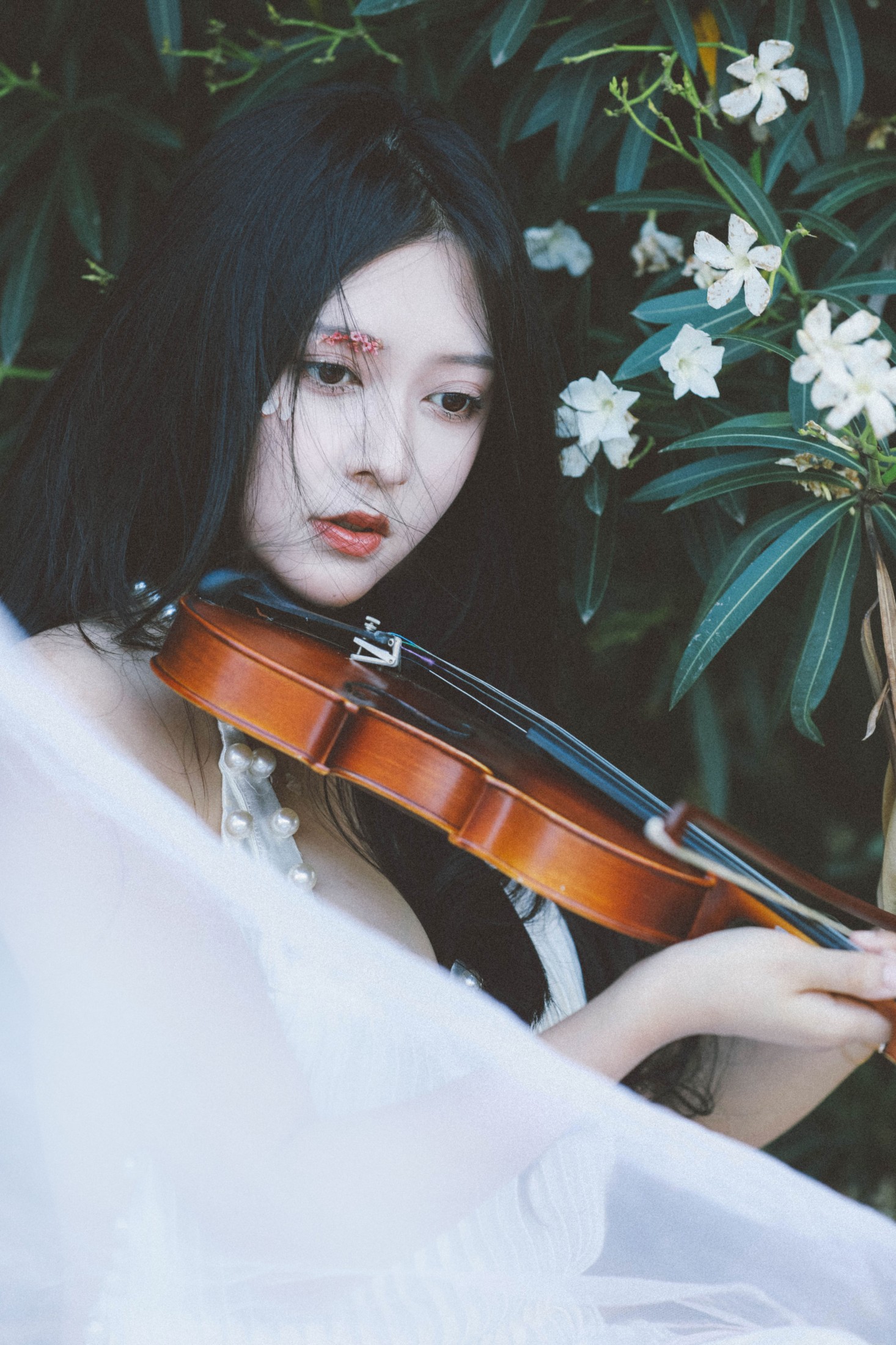 莺莺迟 – 《风》[23P] 插图5