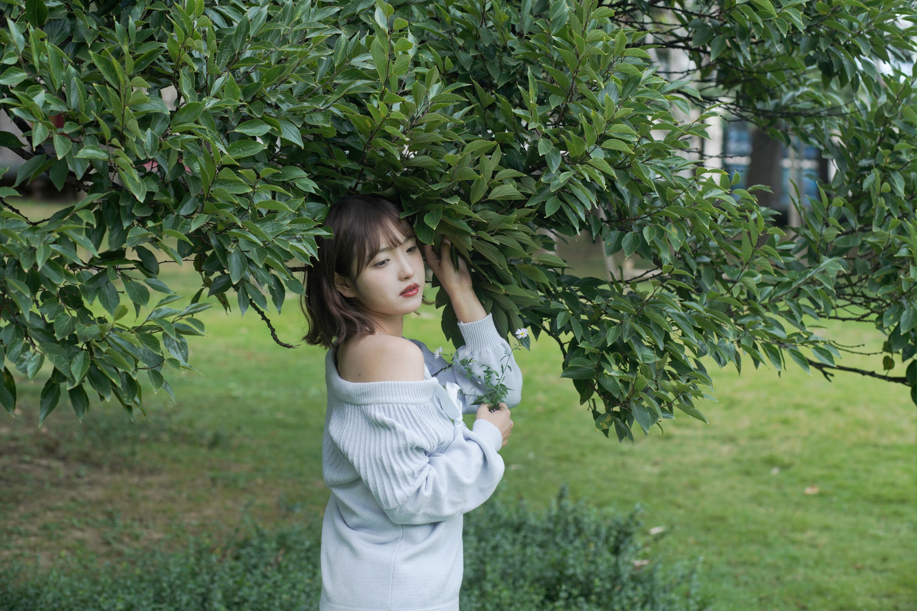 -炸鸡冰可乐- – 《绿野微风》[27P] 插图3