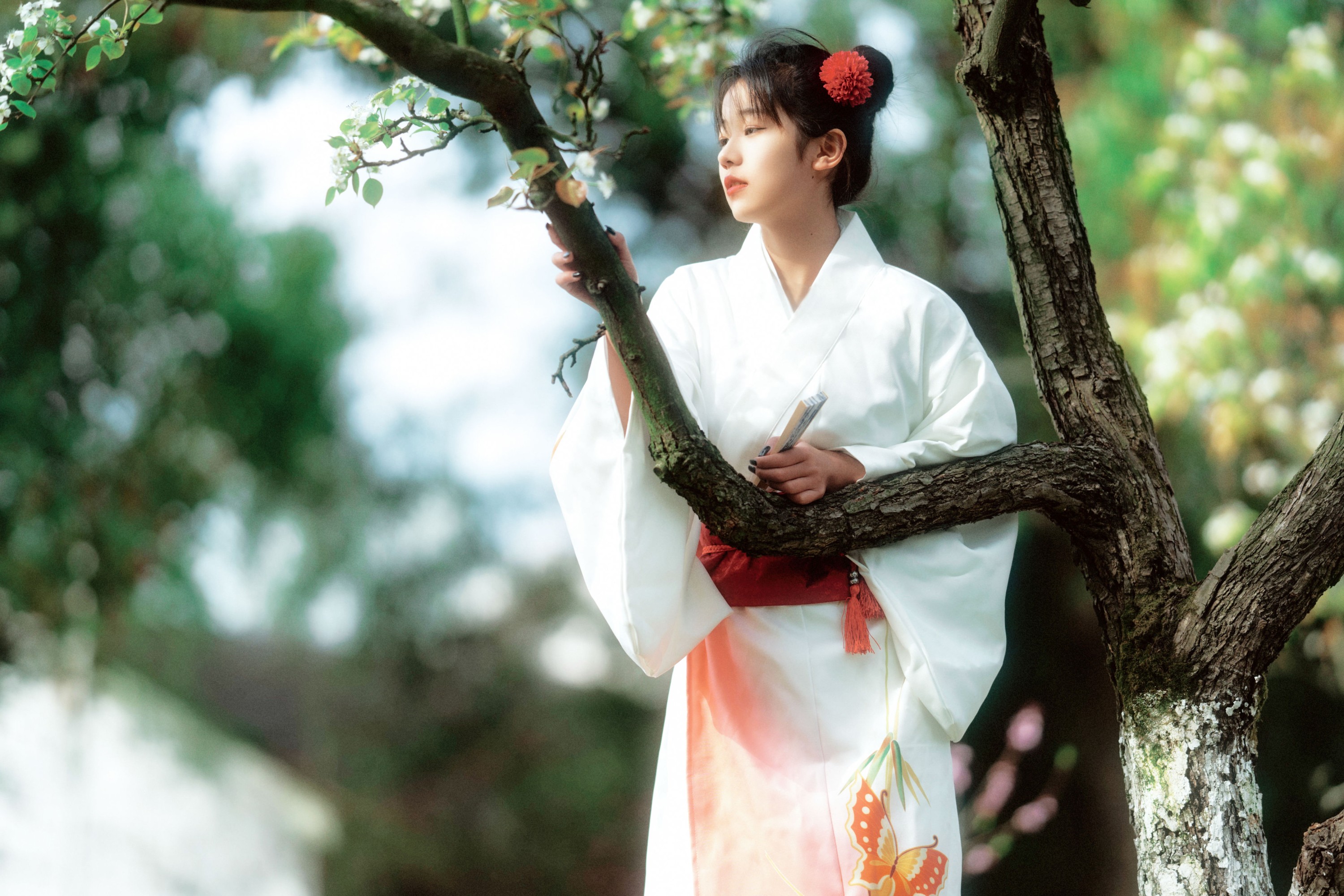 zzz – 《春日花》[24P] 插图3