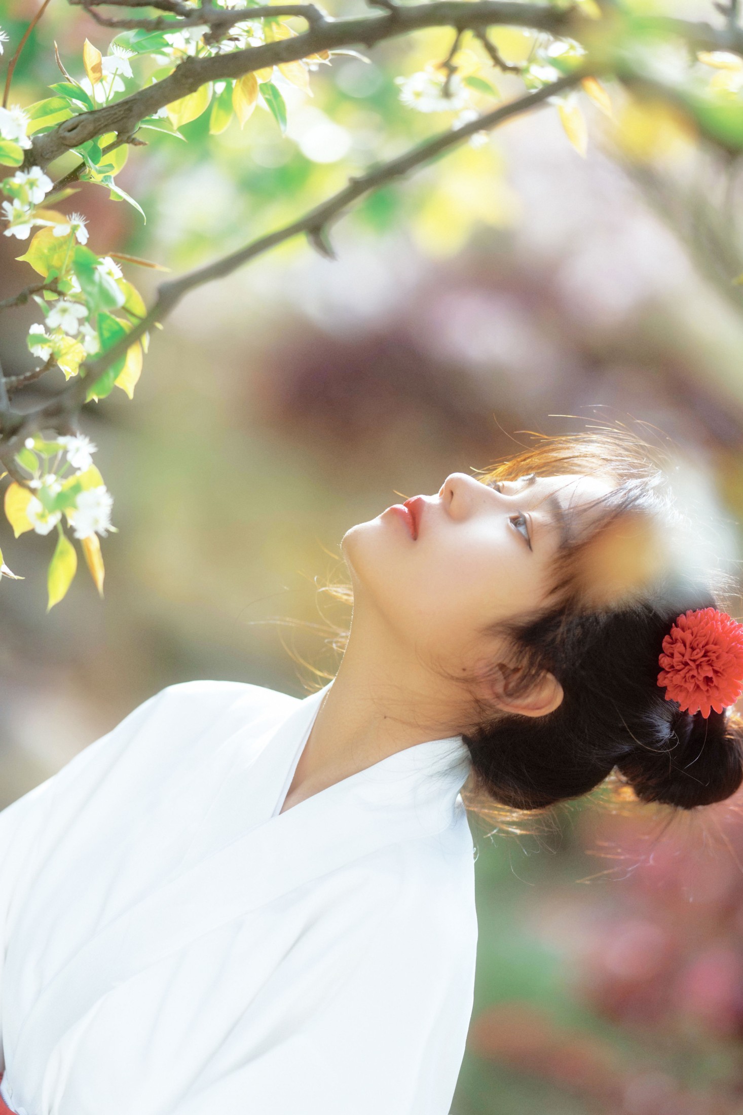 zzz – 《春日花》[24P] 插图5