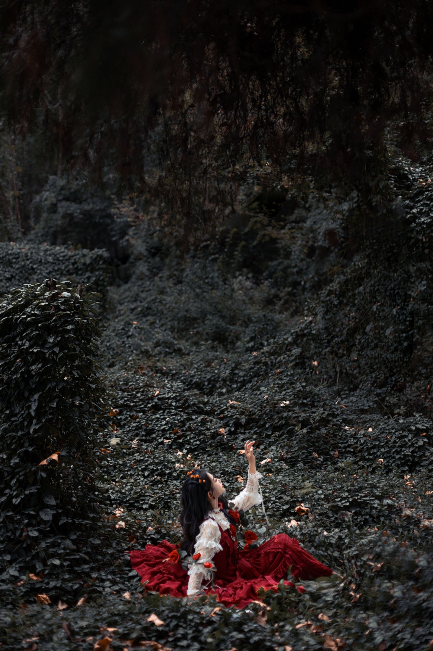 ASOE – 《最后一朵玫瑰》[25P] 插图4