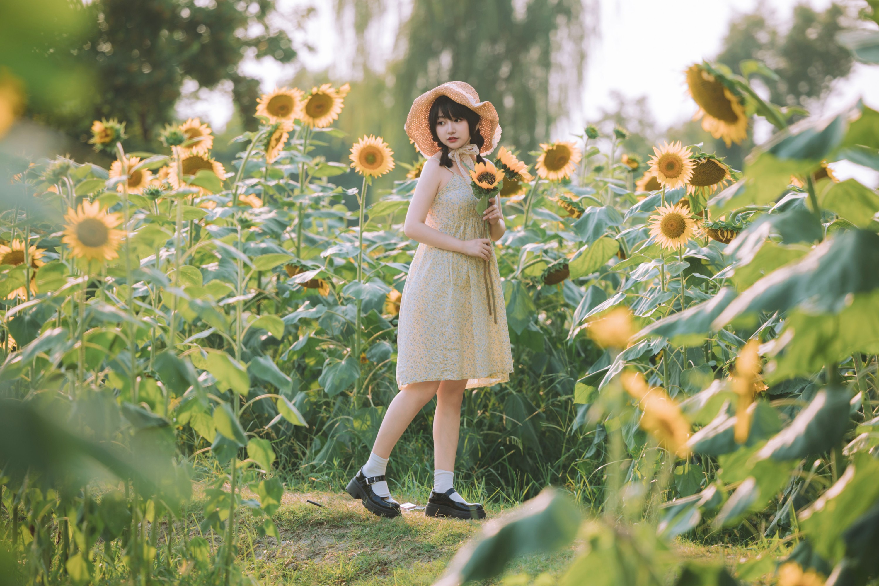 金盏璃 – 《向阳而生》[26P] 插图3