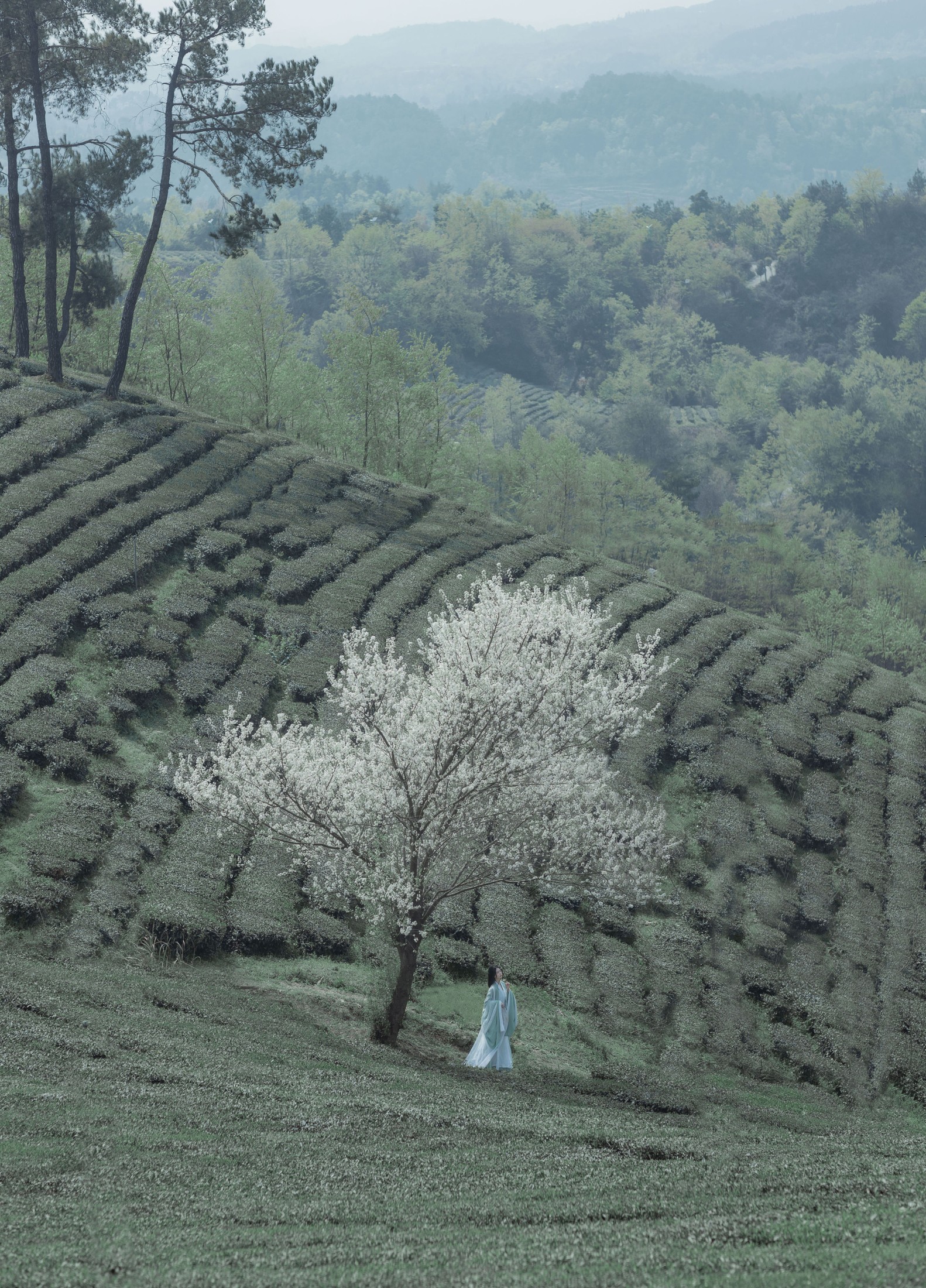 _Bllc – 《一梦浮生》[21P] 插图3