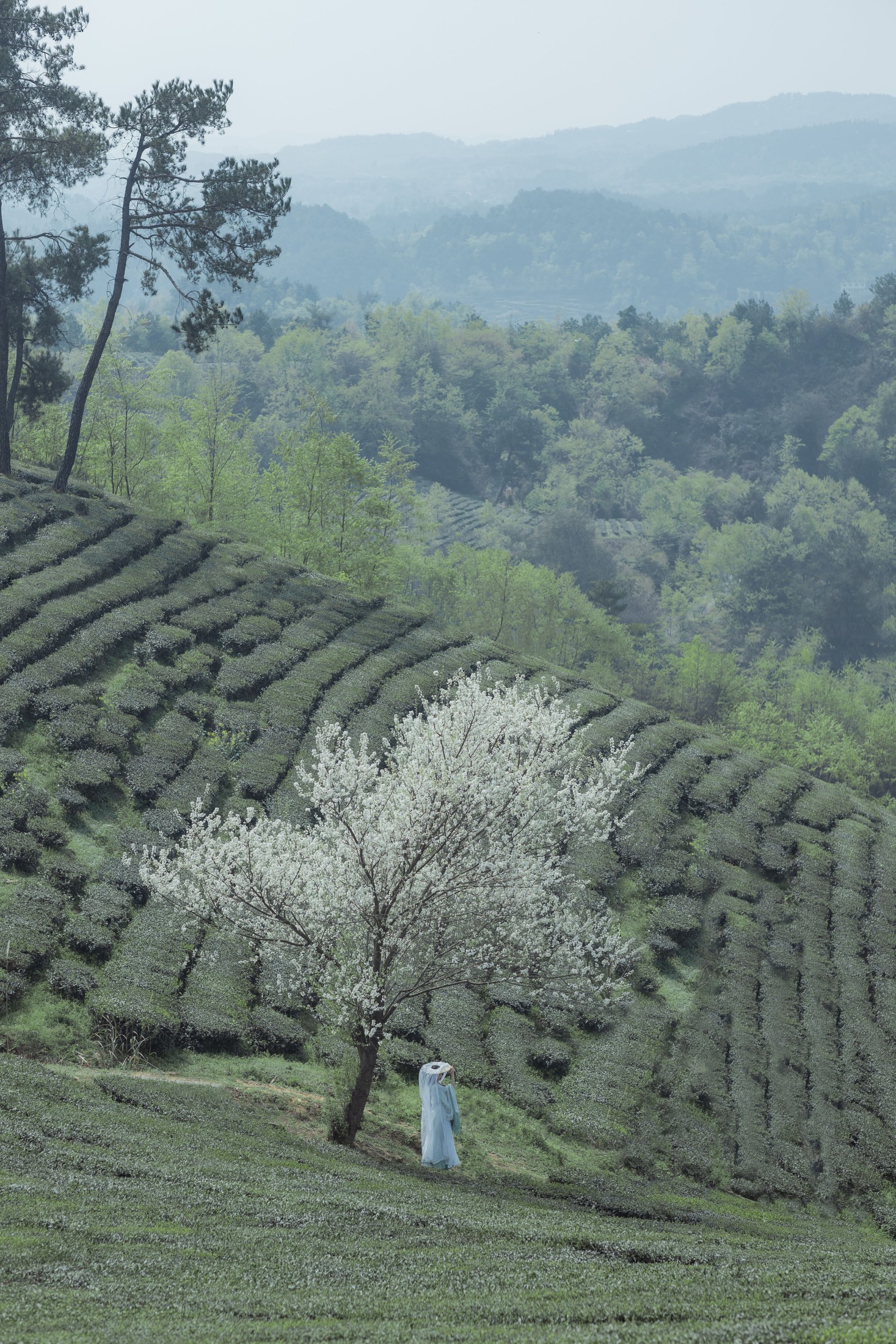 _Bllc – 《一梦浮生》[21P] 插图4