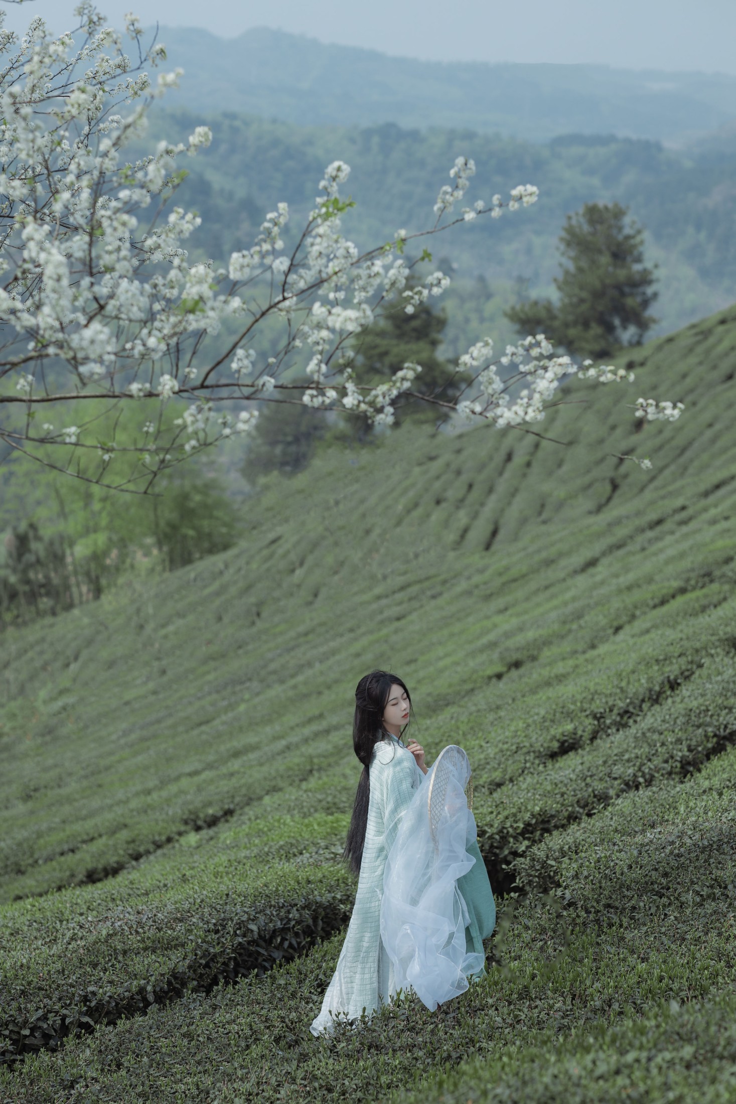 _Bllc – 《一梦浮生》[21P] 插图5