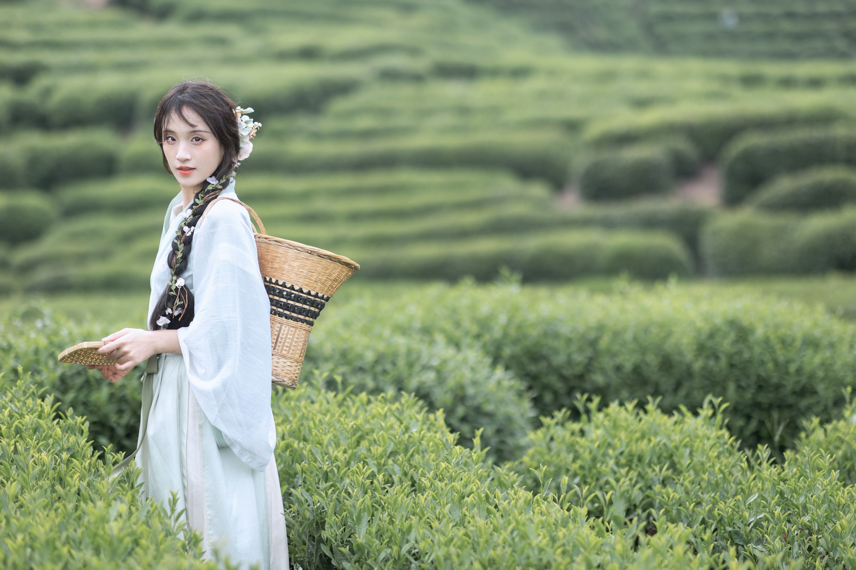 方莛玉 – 《采茶纪》[54P] 插图5