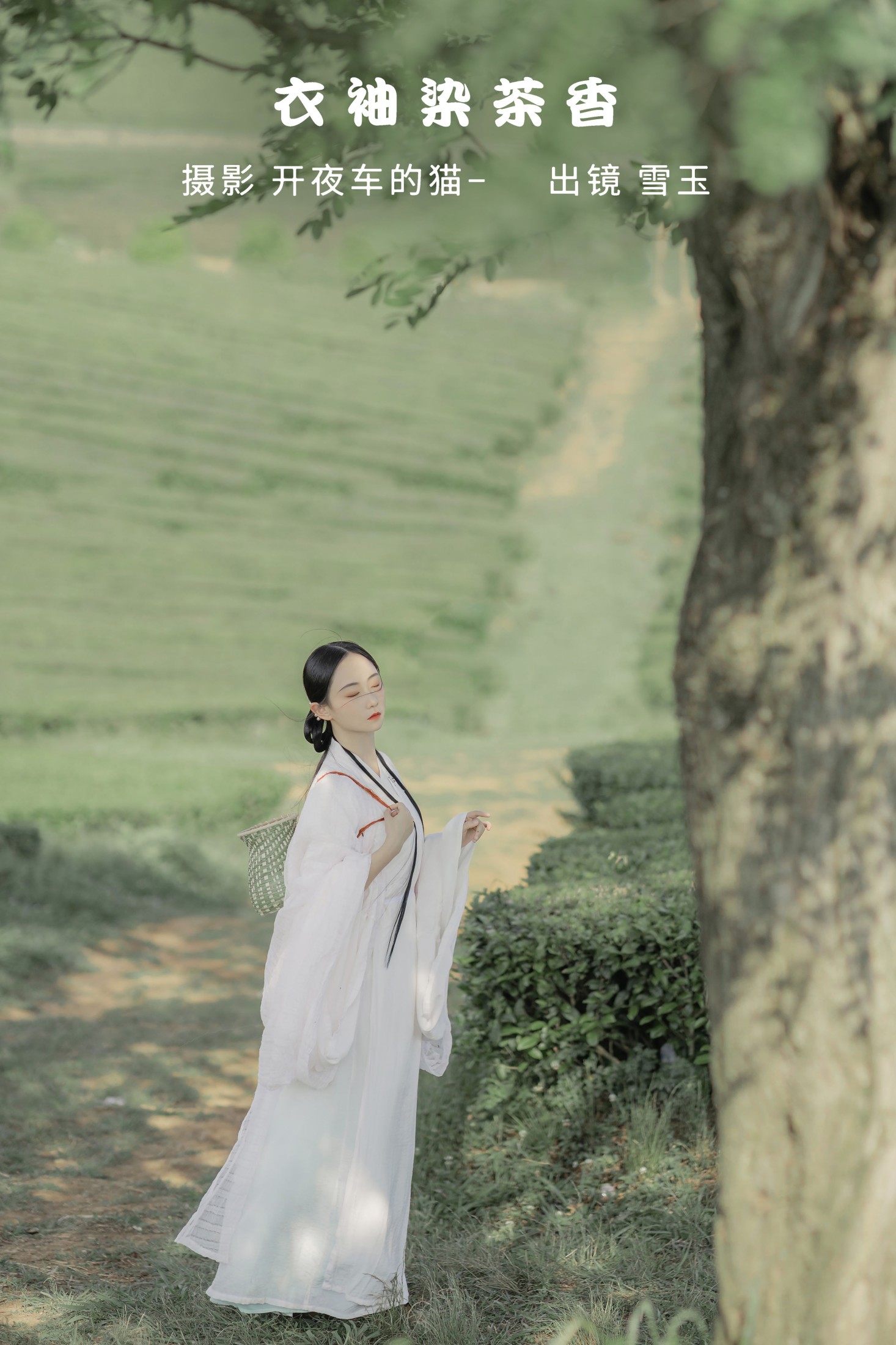 灿暖暖暖 – 《衣袖染茶香》[20P]-66COS
