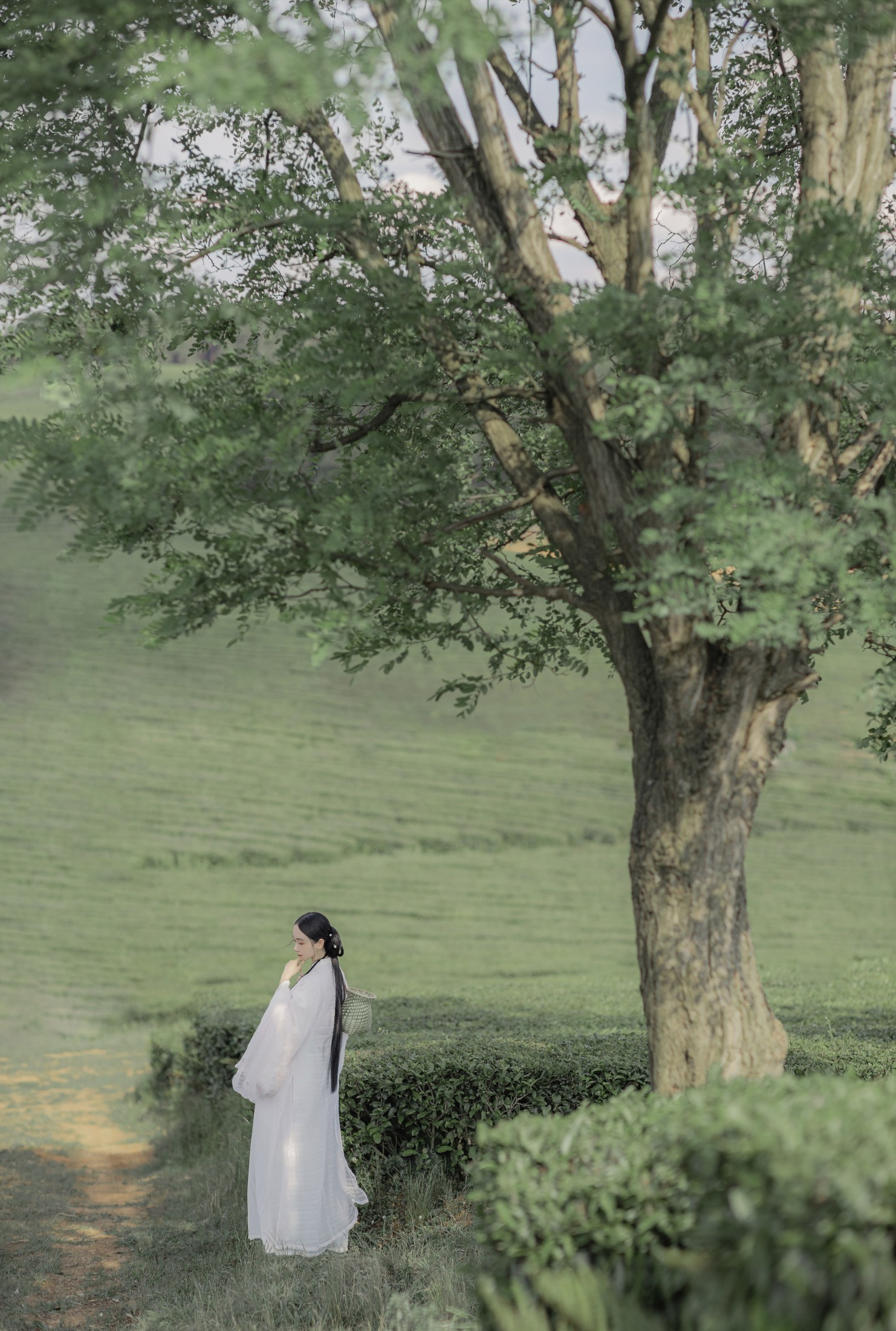 灿暖暖暖 – 《衣袖染茶香》[20P] 插图5