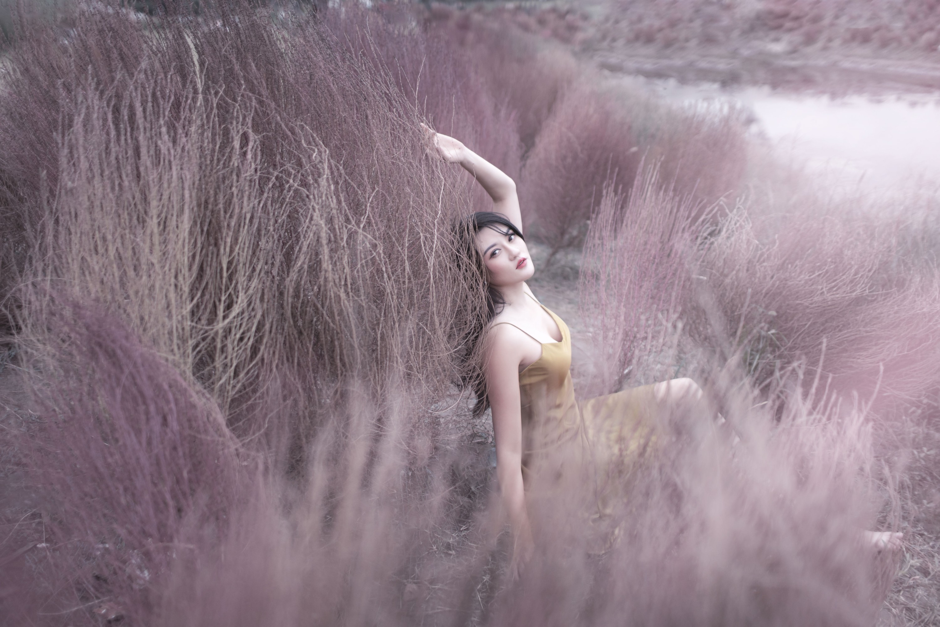 翠花儿 – 《紫色烟花》[28P] 插图3