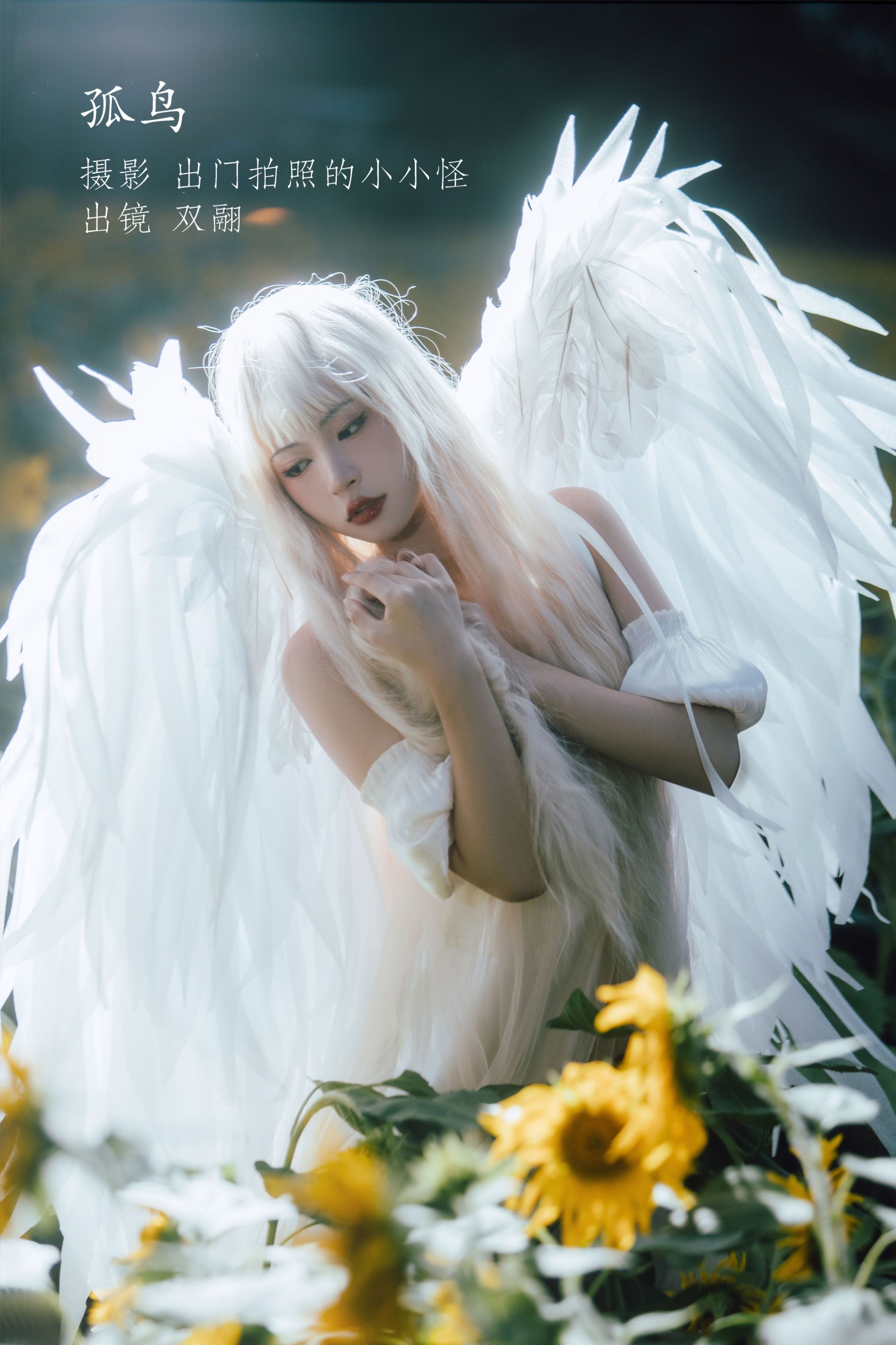 双翮 – 《孤鸟》[21P]-66COS