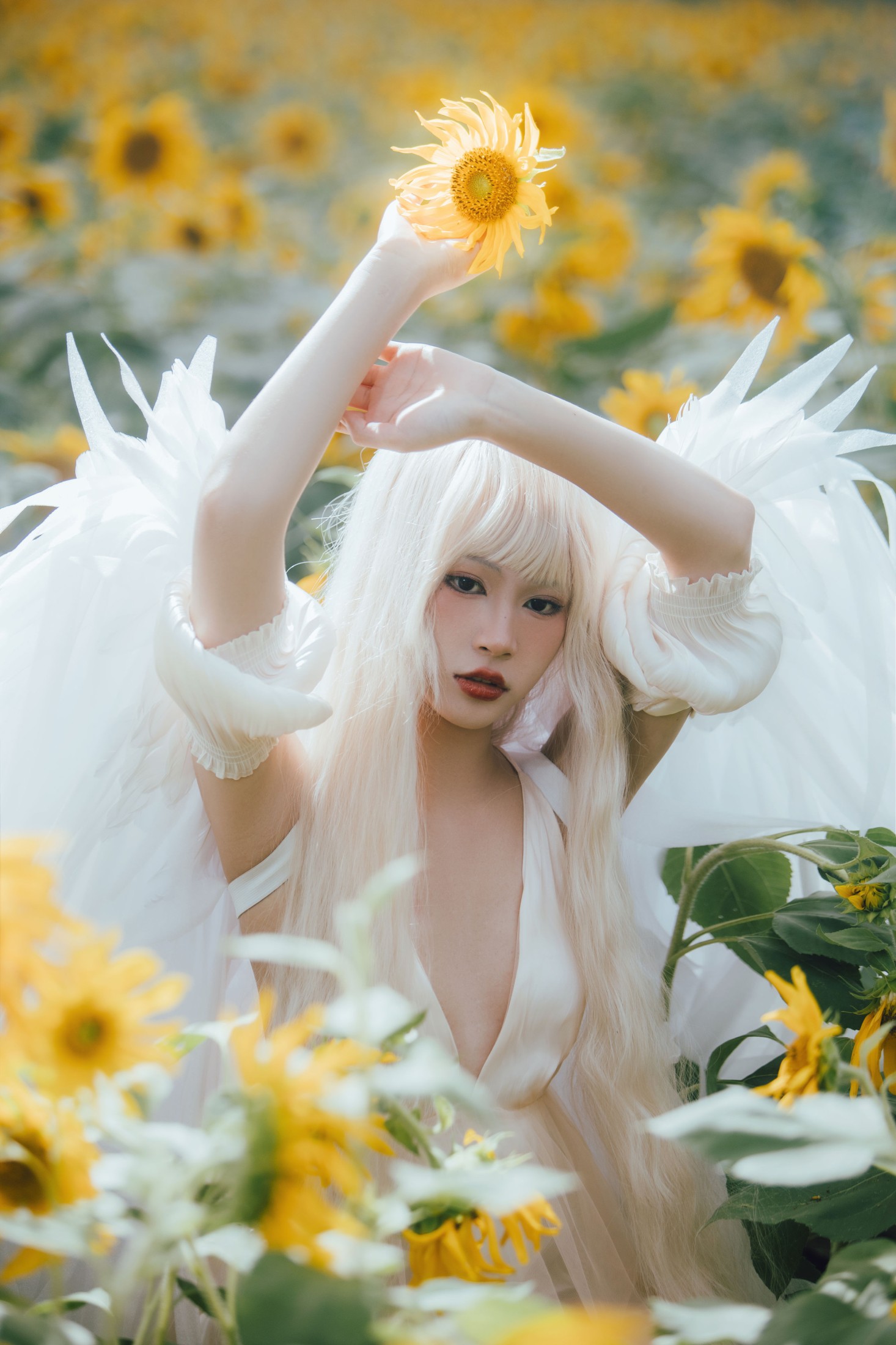 双翮 – 《孤鸟》[21P] 插图4