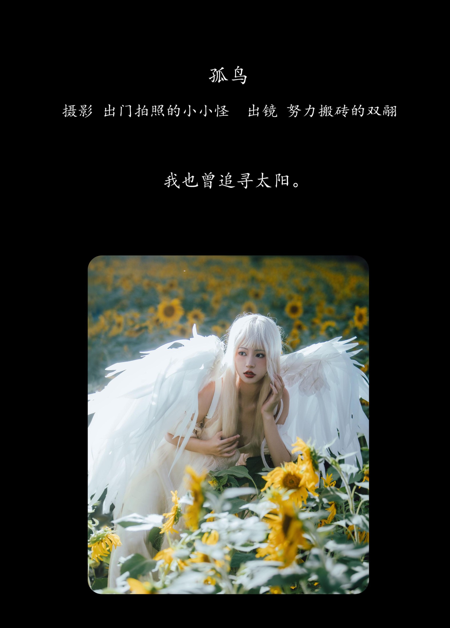 双翮 – 《孤鸟》[21P] 插图2