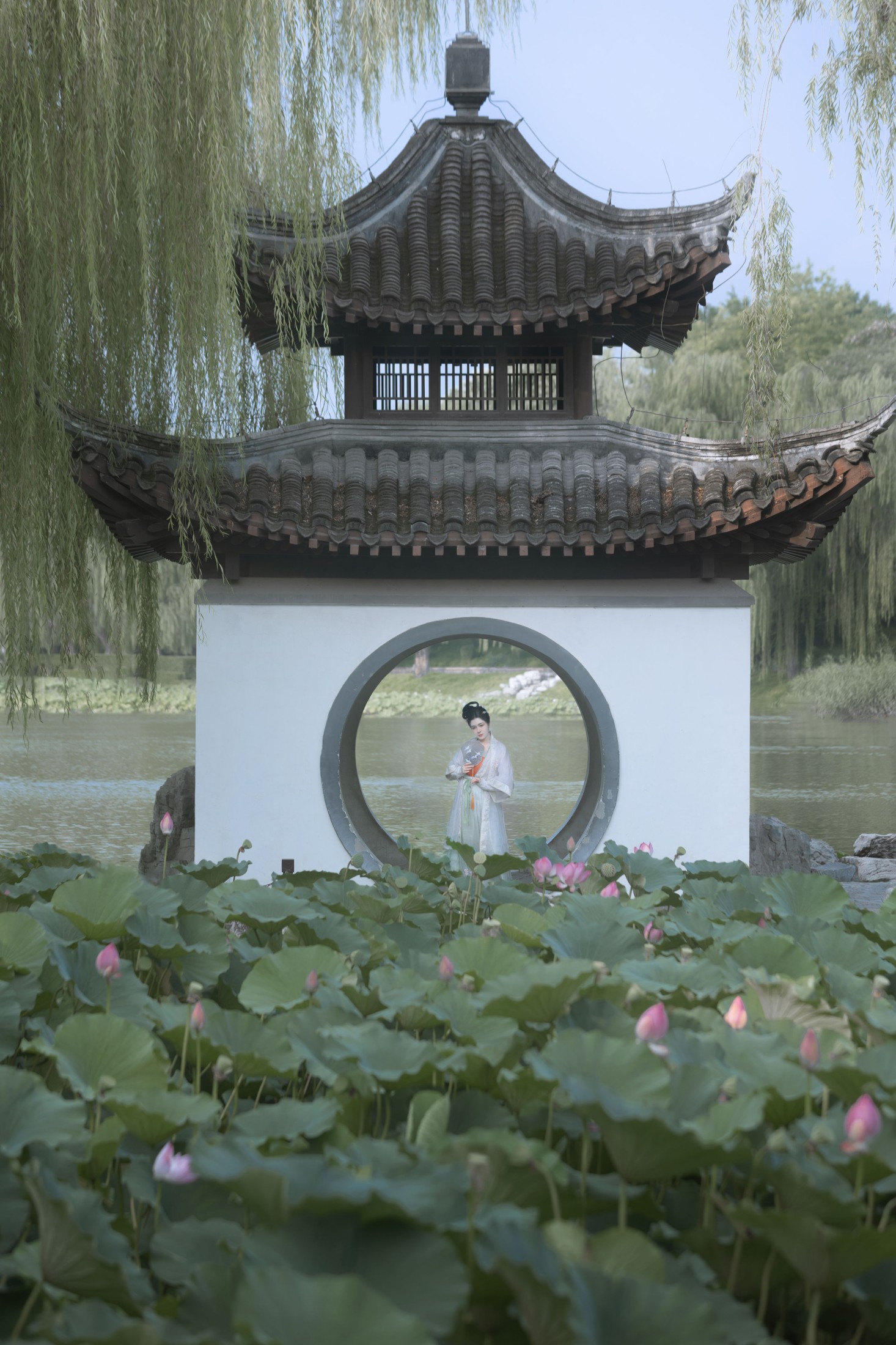 周曦彤 – 《陶然荷韵》[26P] 插图3