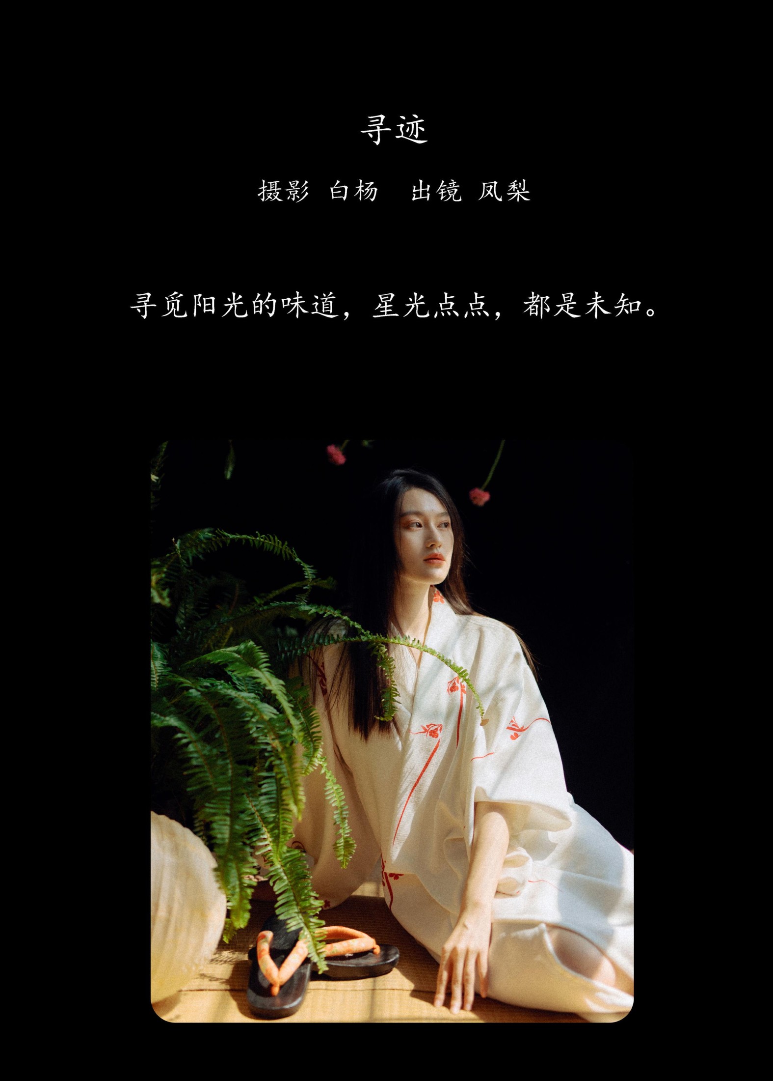 一颗凤梨 – 《寻迹》[23P] 插图2