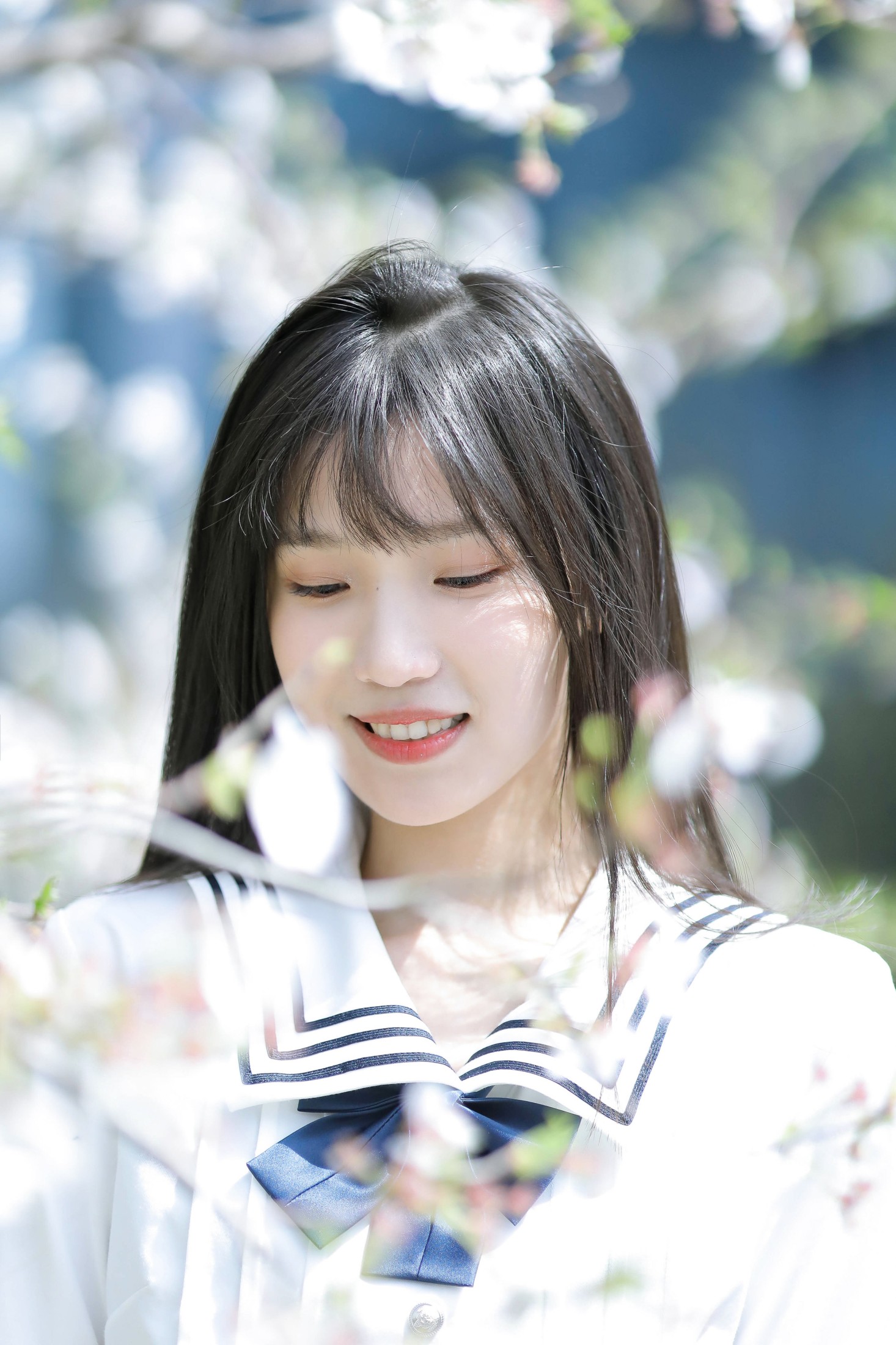 echo – 《春日樱花》[29P] 插图3