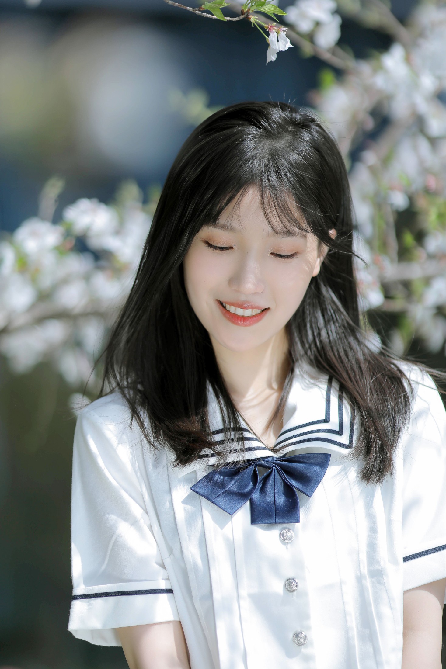 echo – 《春日樱花》[29P] 插图4