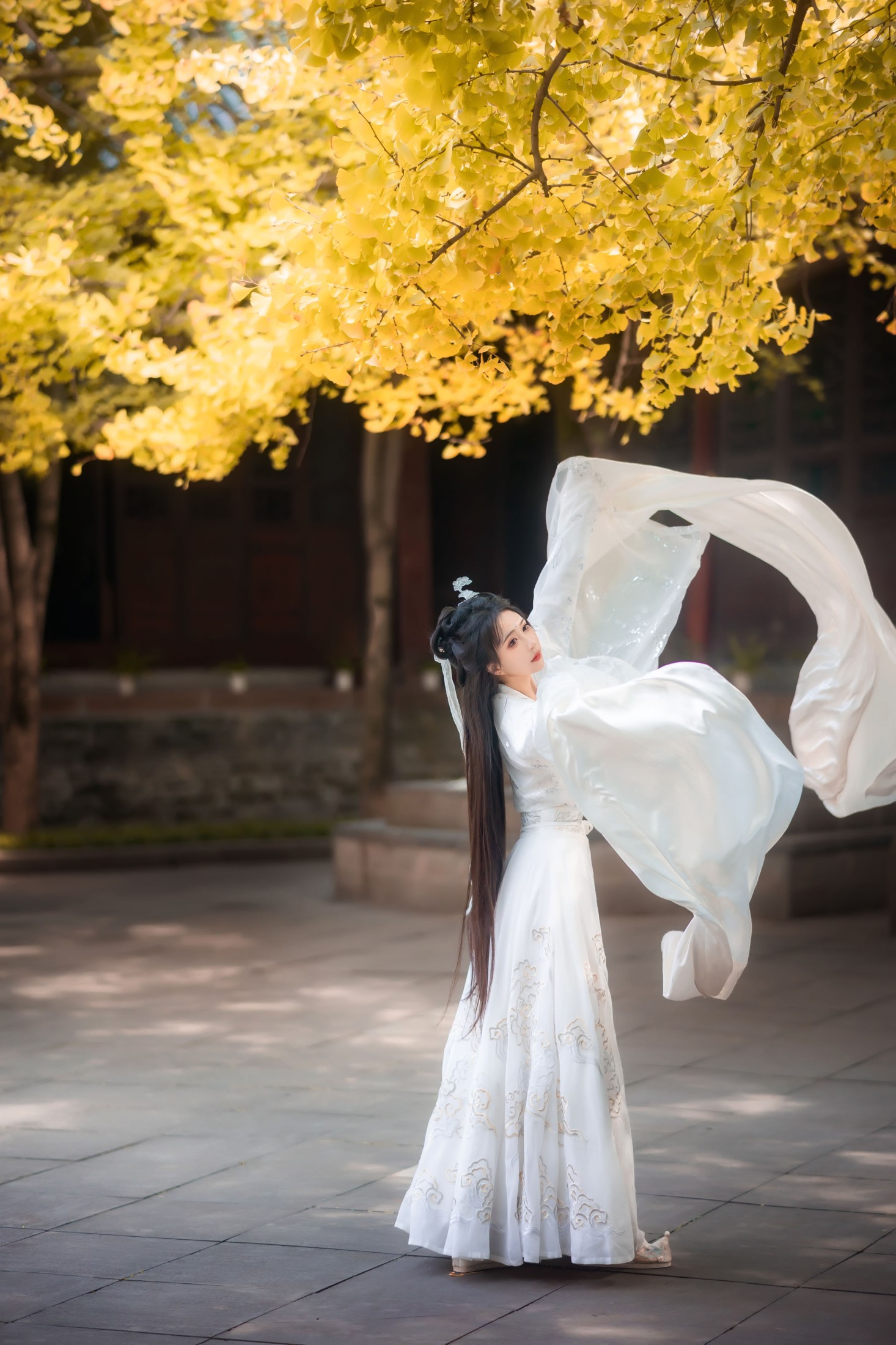 绮罗生的小苏苏 – 《白衣渡我》[34P] 插图3