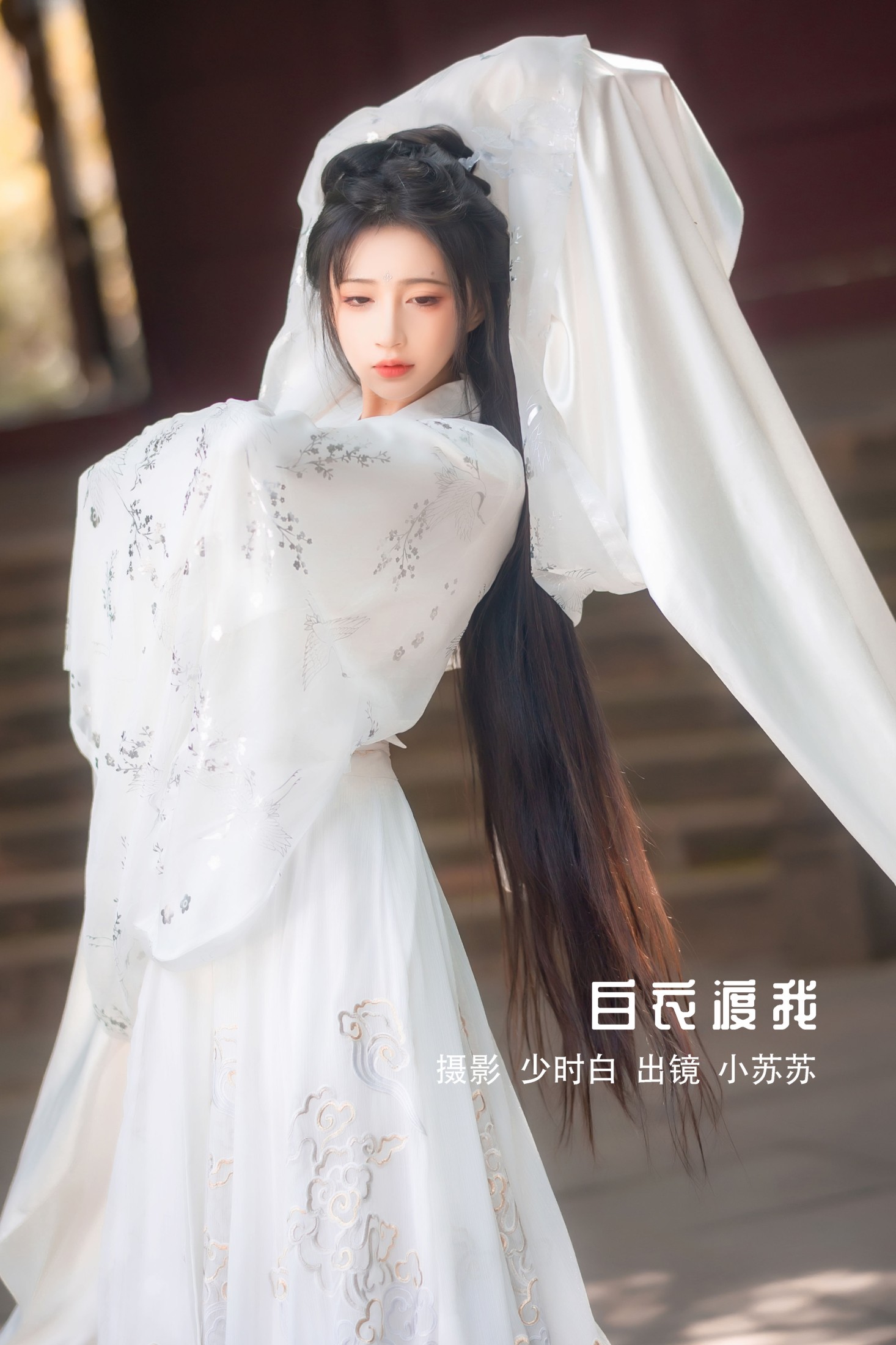 绮罗生的小苏苏 – 《白衣渡我》[34P]-66COS