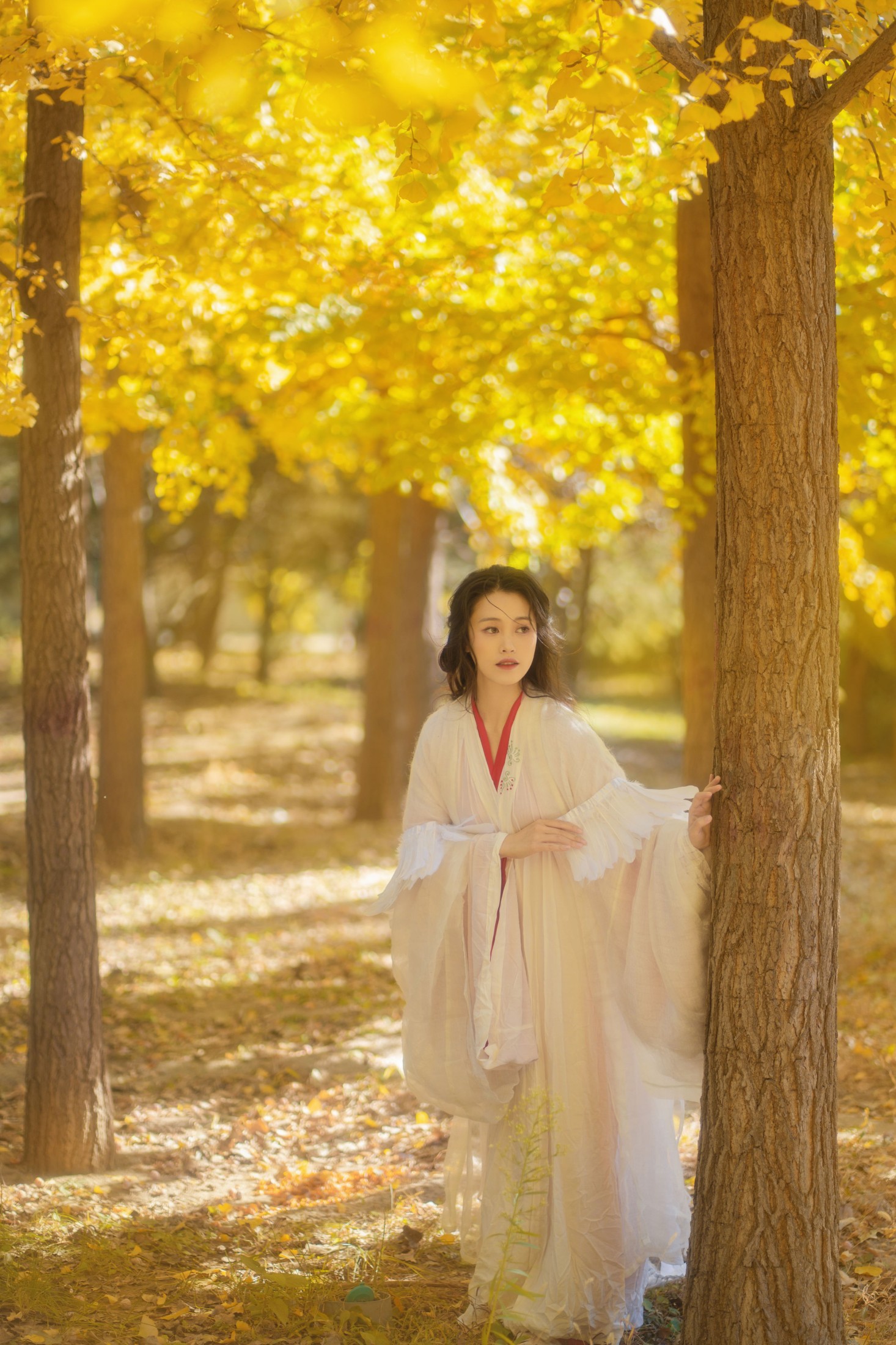 青霜鹅 – 《银杏》[26P] 插图4