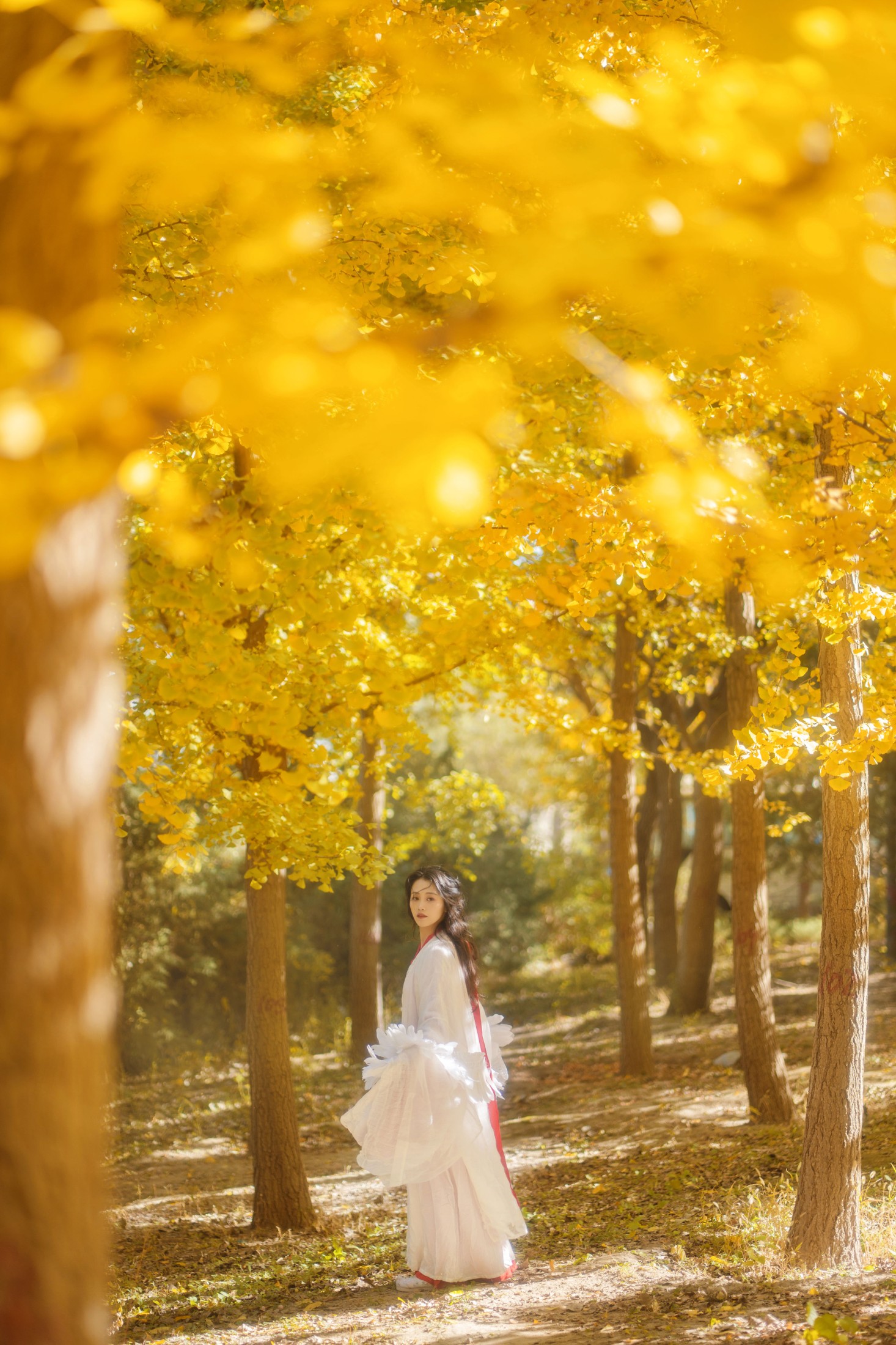 青霜鹅 – 《银杏》[26P] 插图3