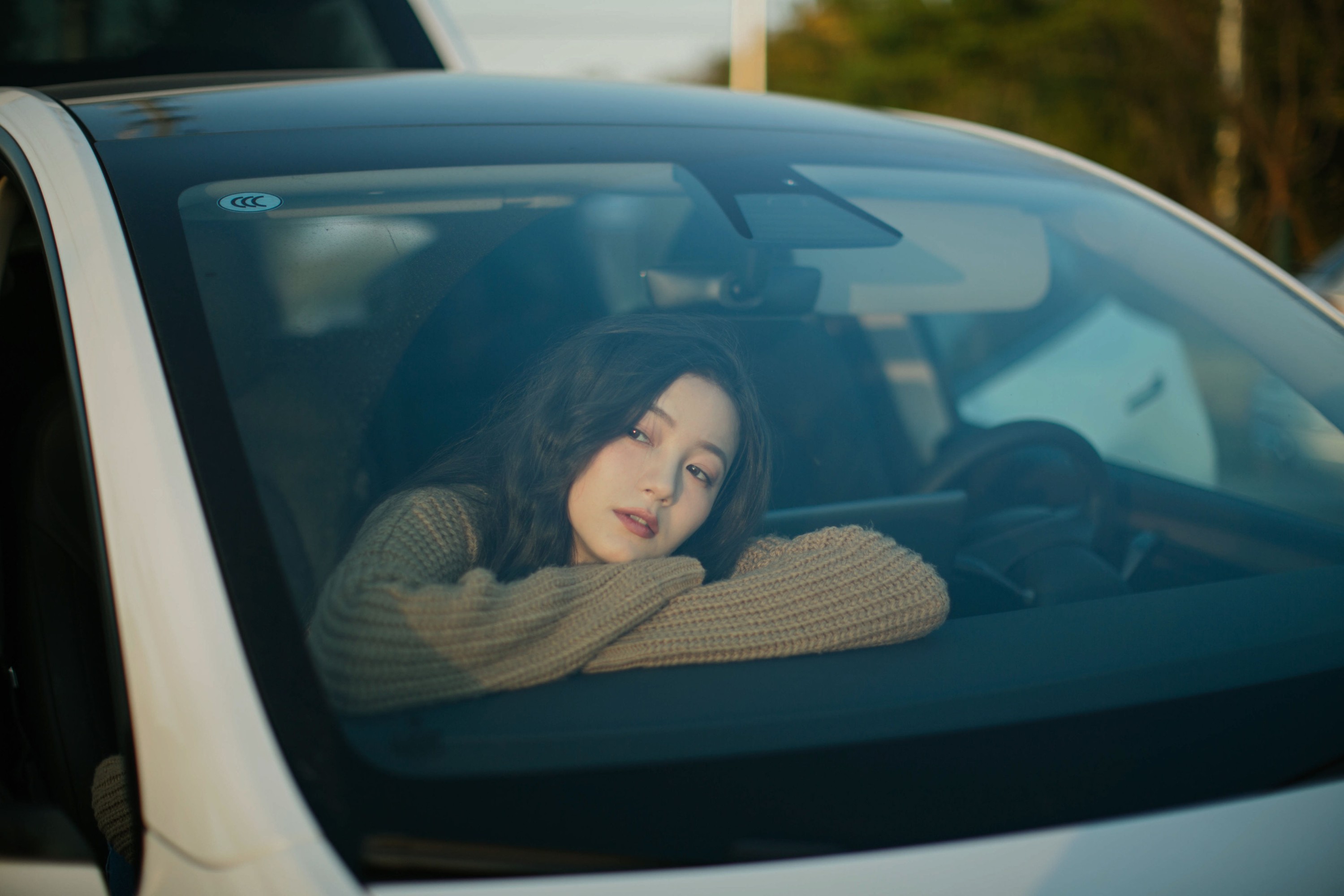 夏芸是只小考拉 – 《将爱却晚秋》[22P] 插图5