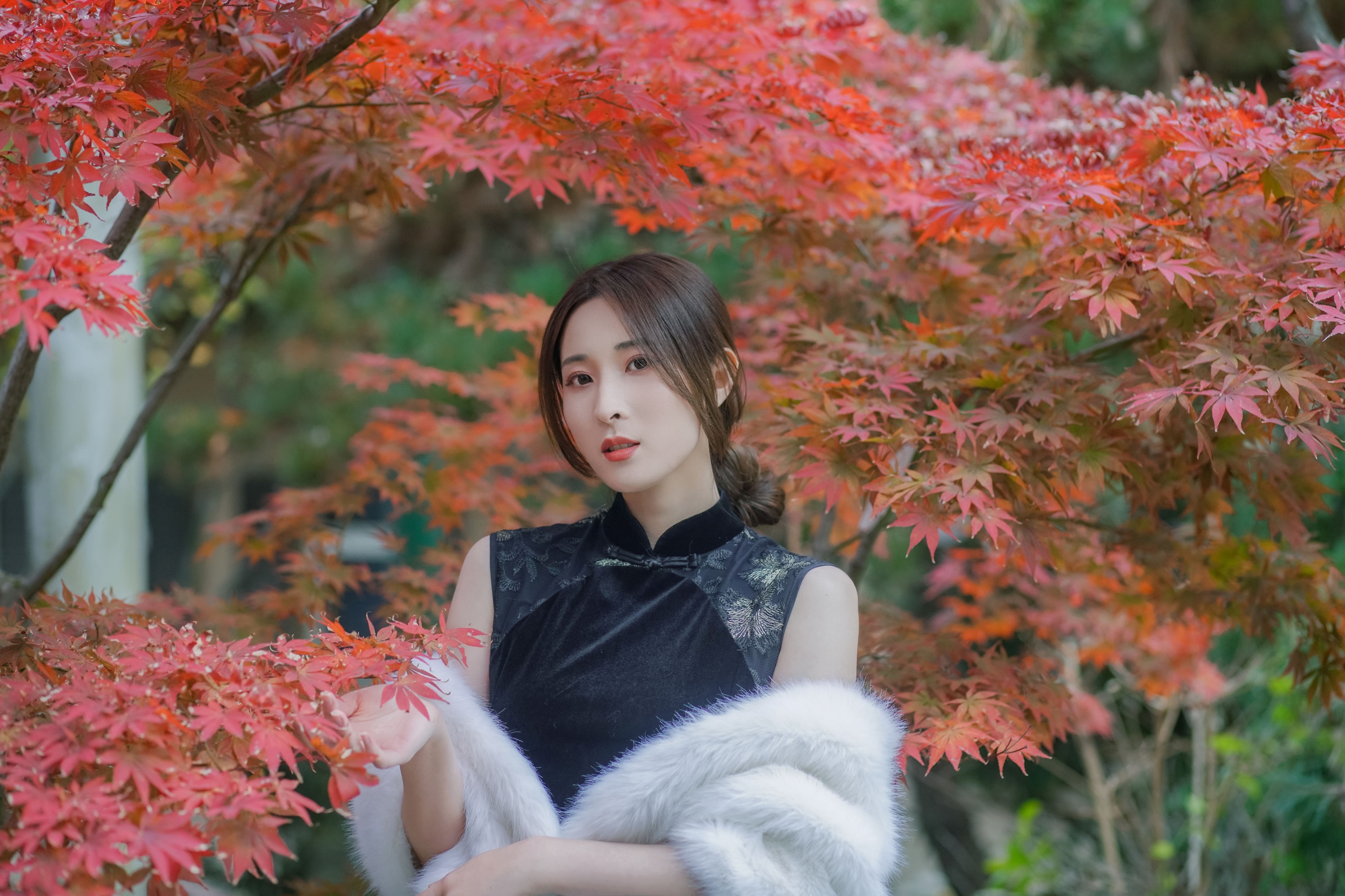 阿音 – 《红枫》[23P] 插图5