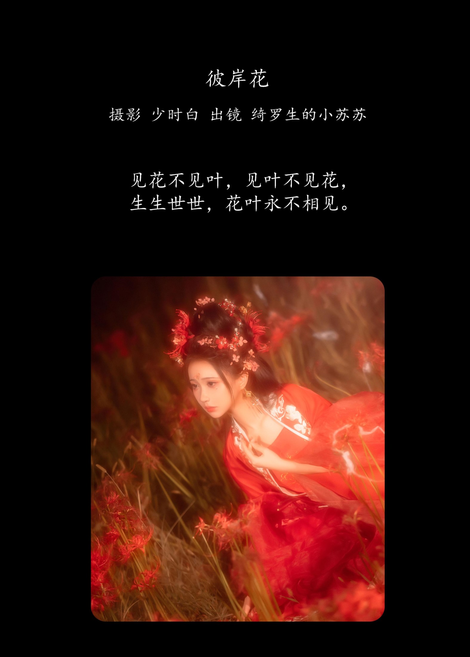绮罗生的小苏苏 – 《彼岸花》[32P] 插图2