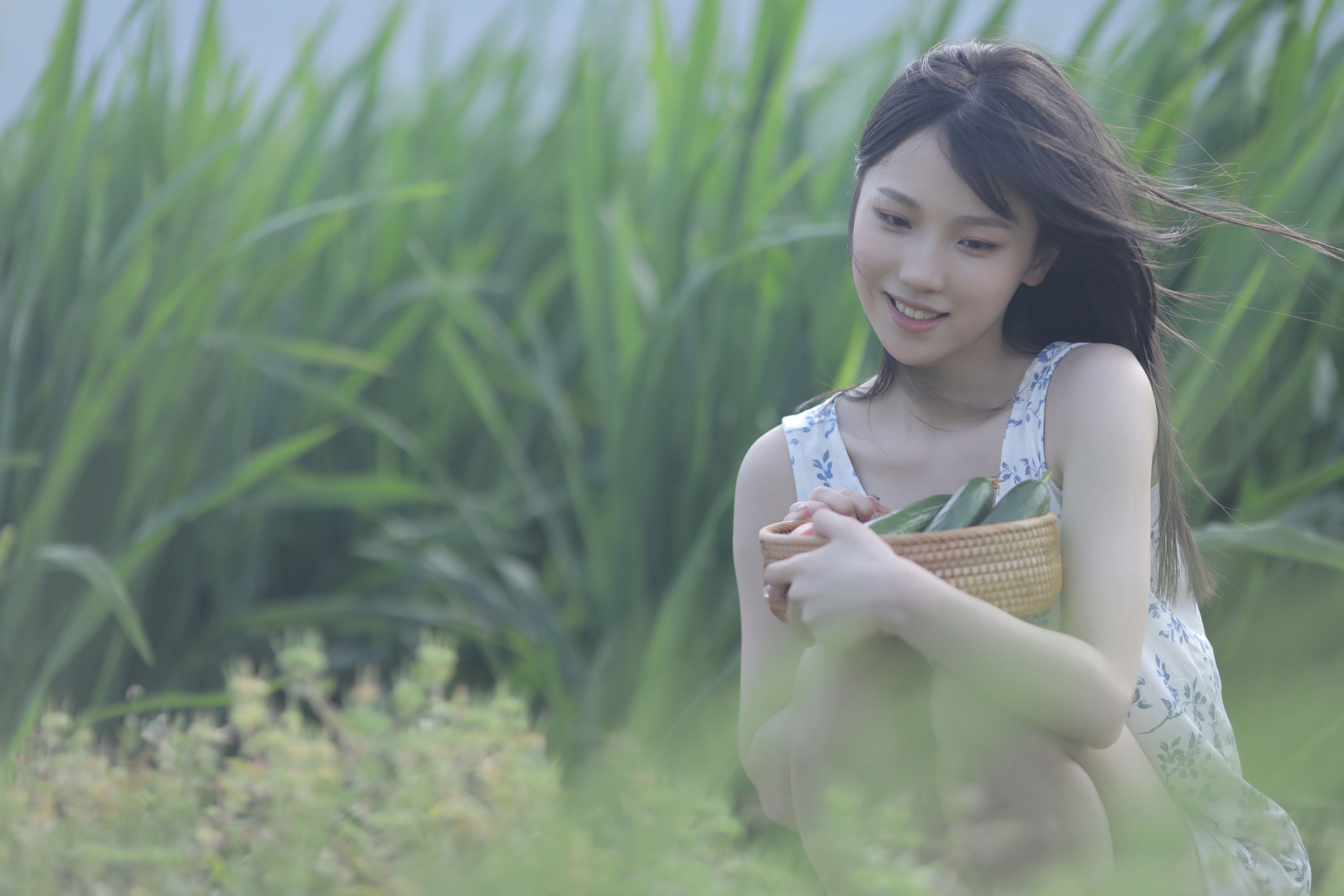 echo – 《稻香》[29P] 插图4