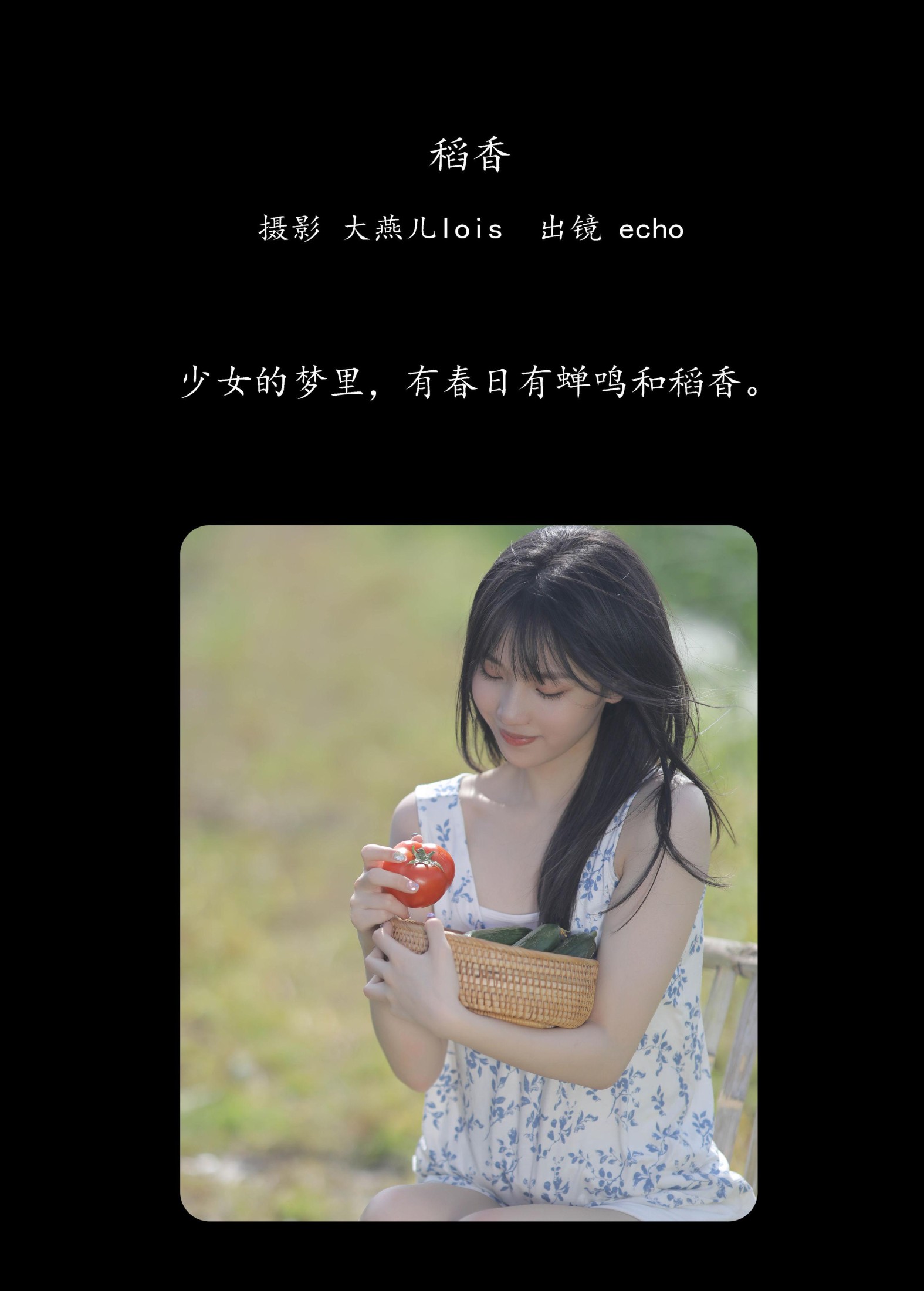 echo – 《稻香》[29P] 插图2