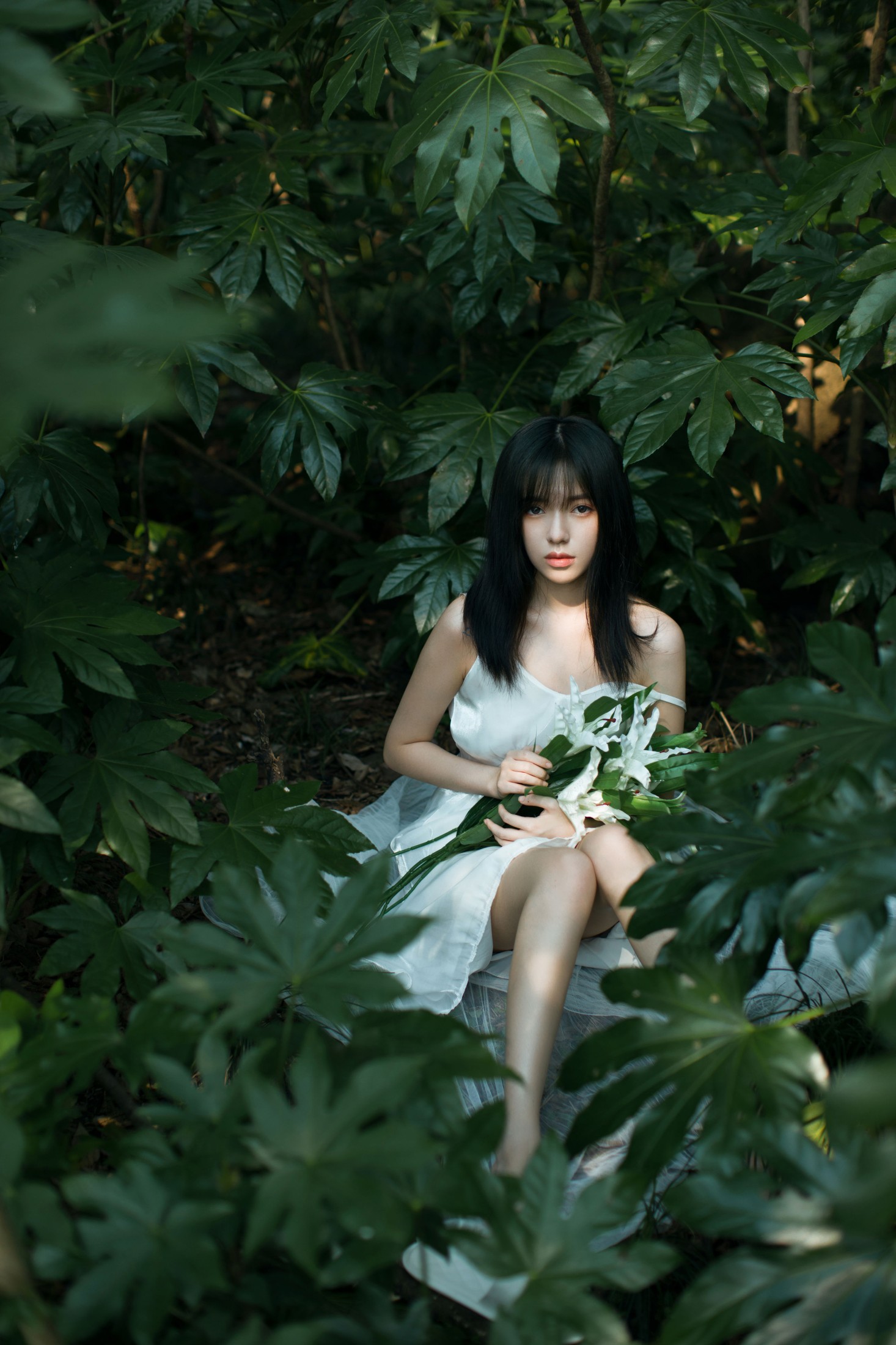 唧唧 – 《绿野仙踪》[23P] 插图5