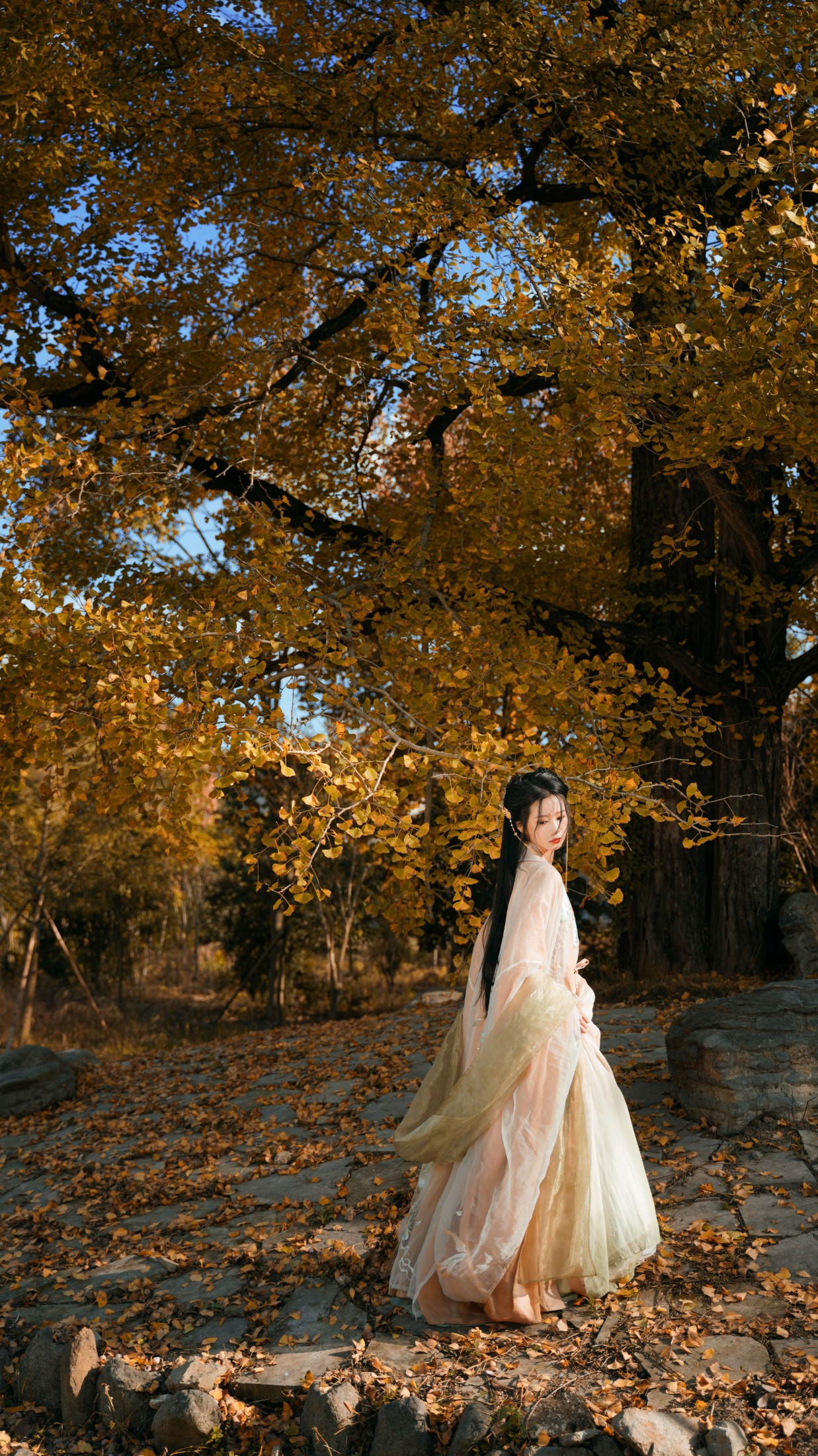 橙子舒 – 《银杏树下》[39P] 插图5