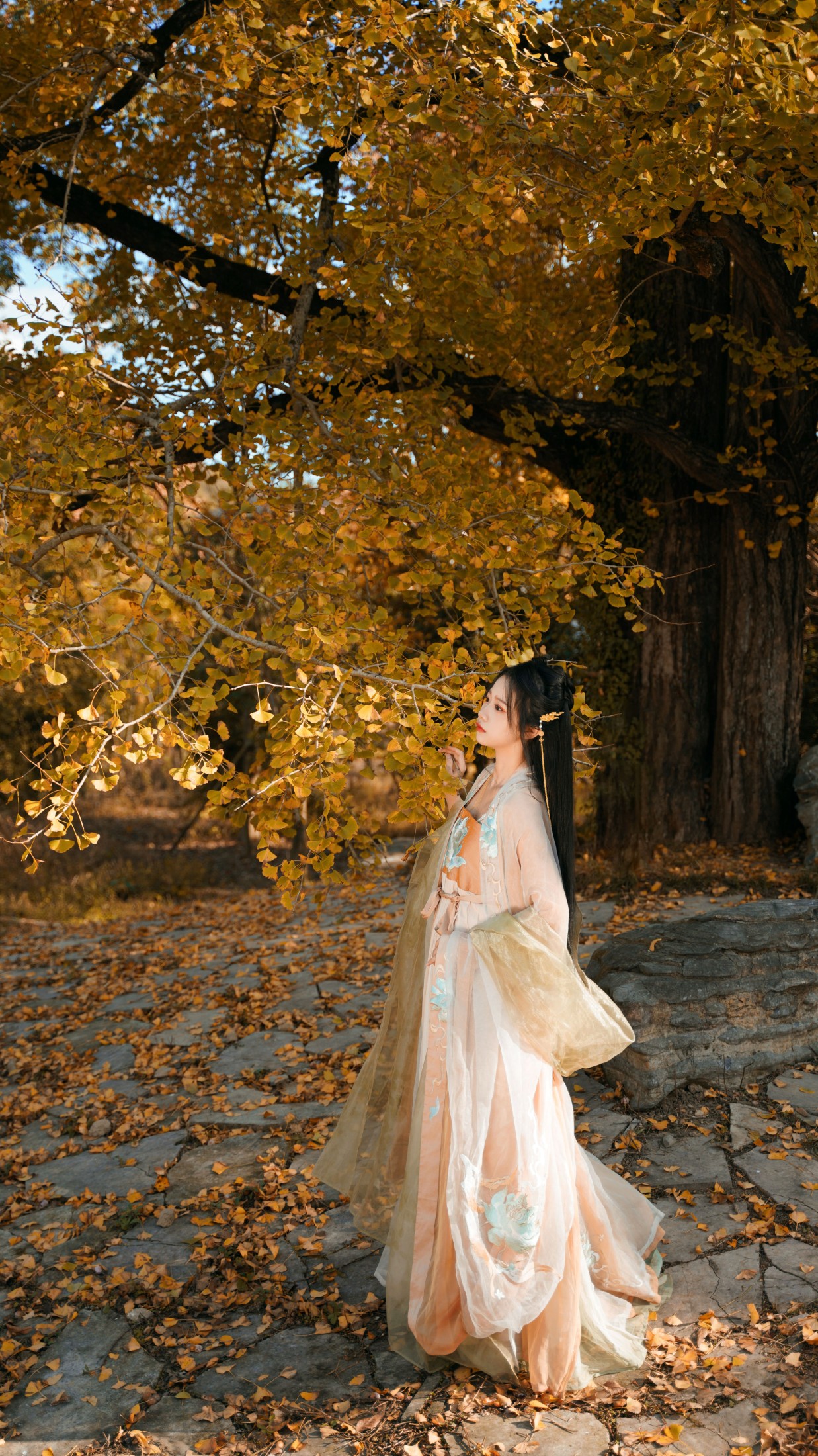 橙子舒 – 《银杏树下》[39P] 插图3