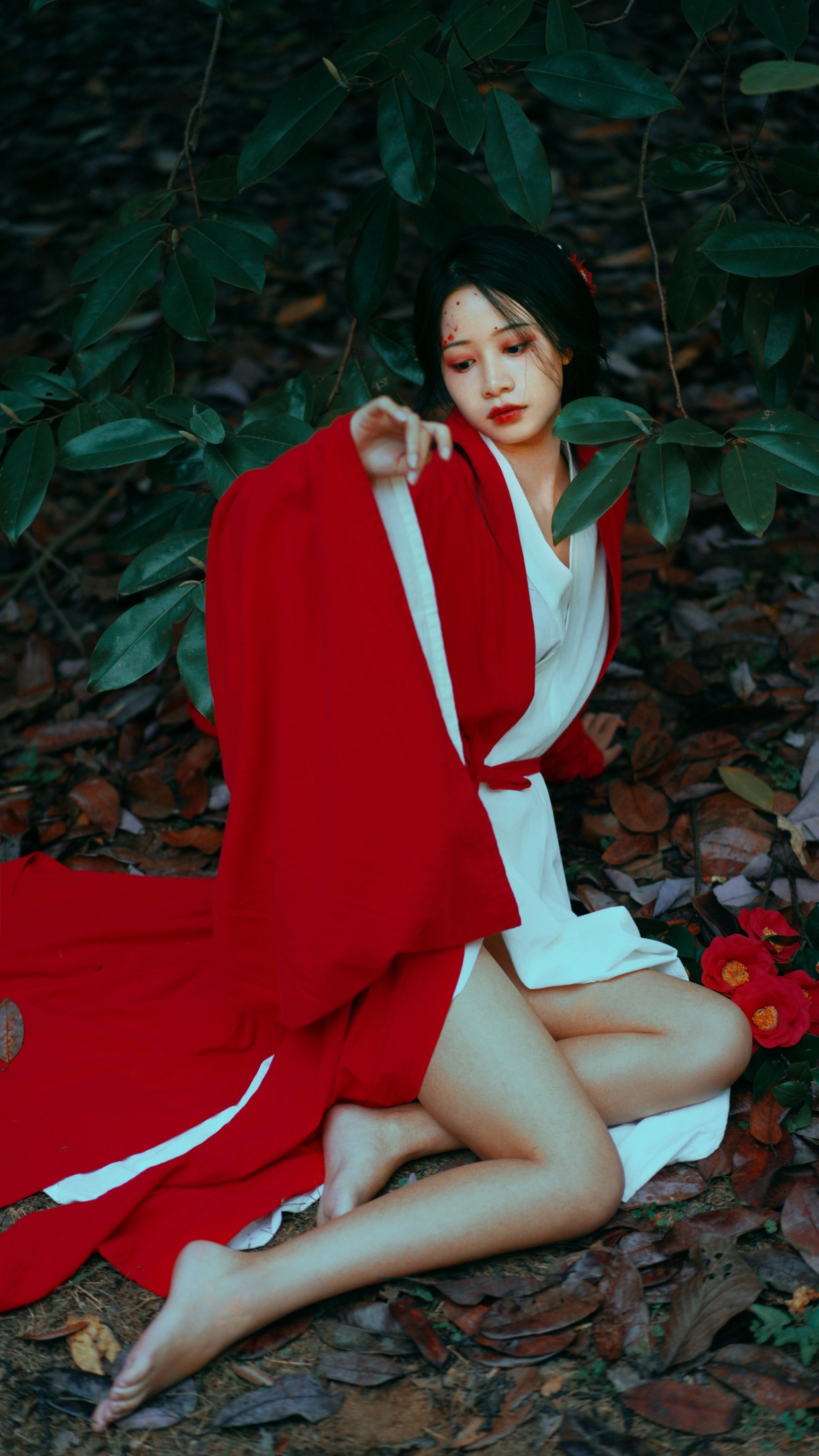 橙子舒 – 《山茶花》[22P] 插图3