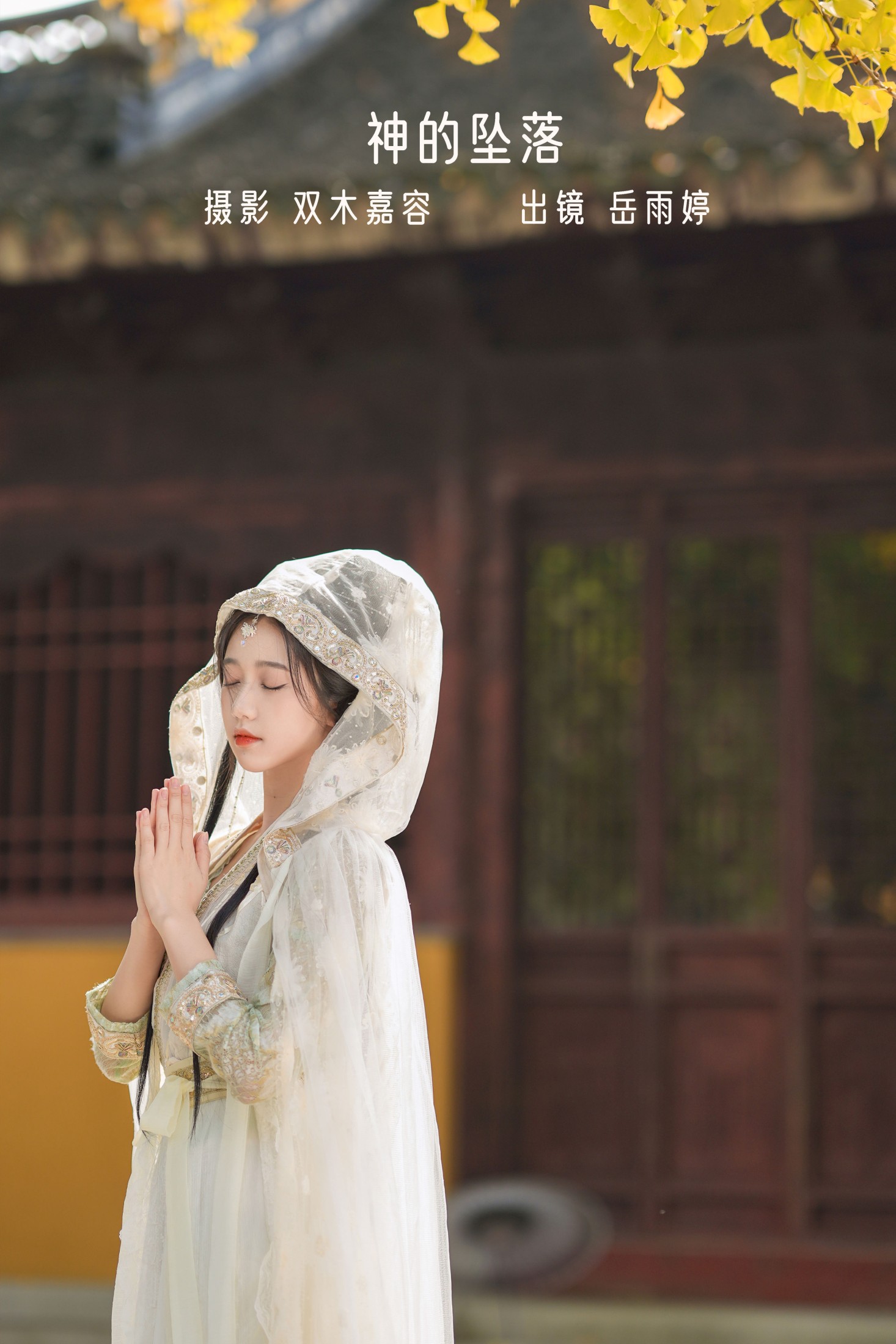 岳雨婷 – 《神的坠落》[27P]-66COS