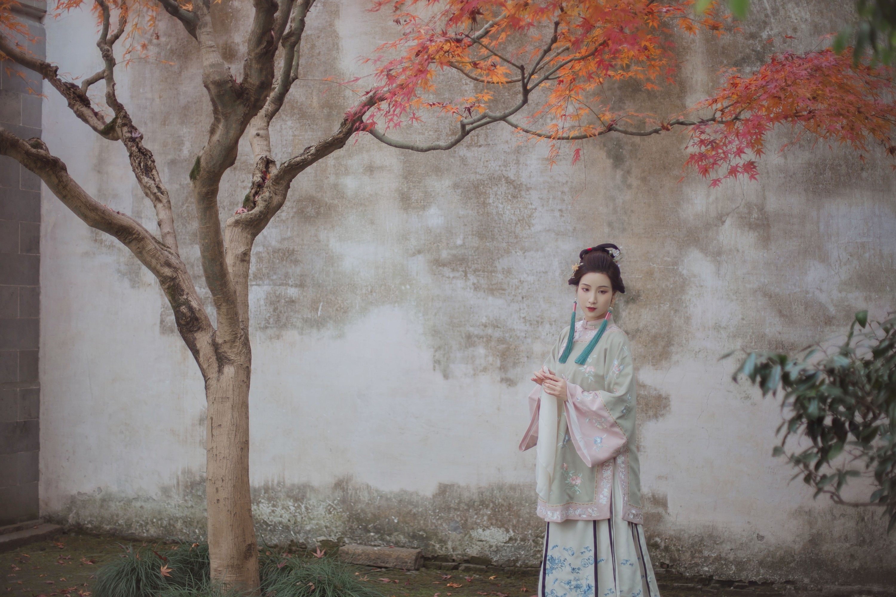 我是金儿呀 – 《我于窗中窥伤鹤》[26P] 插图5