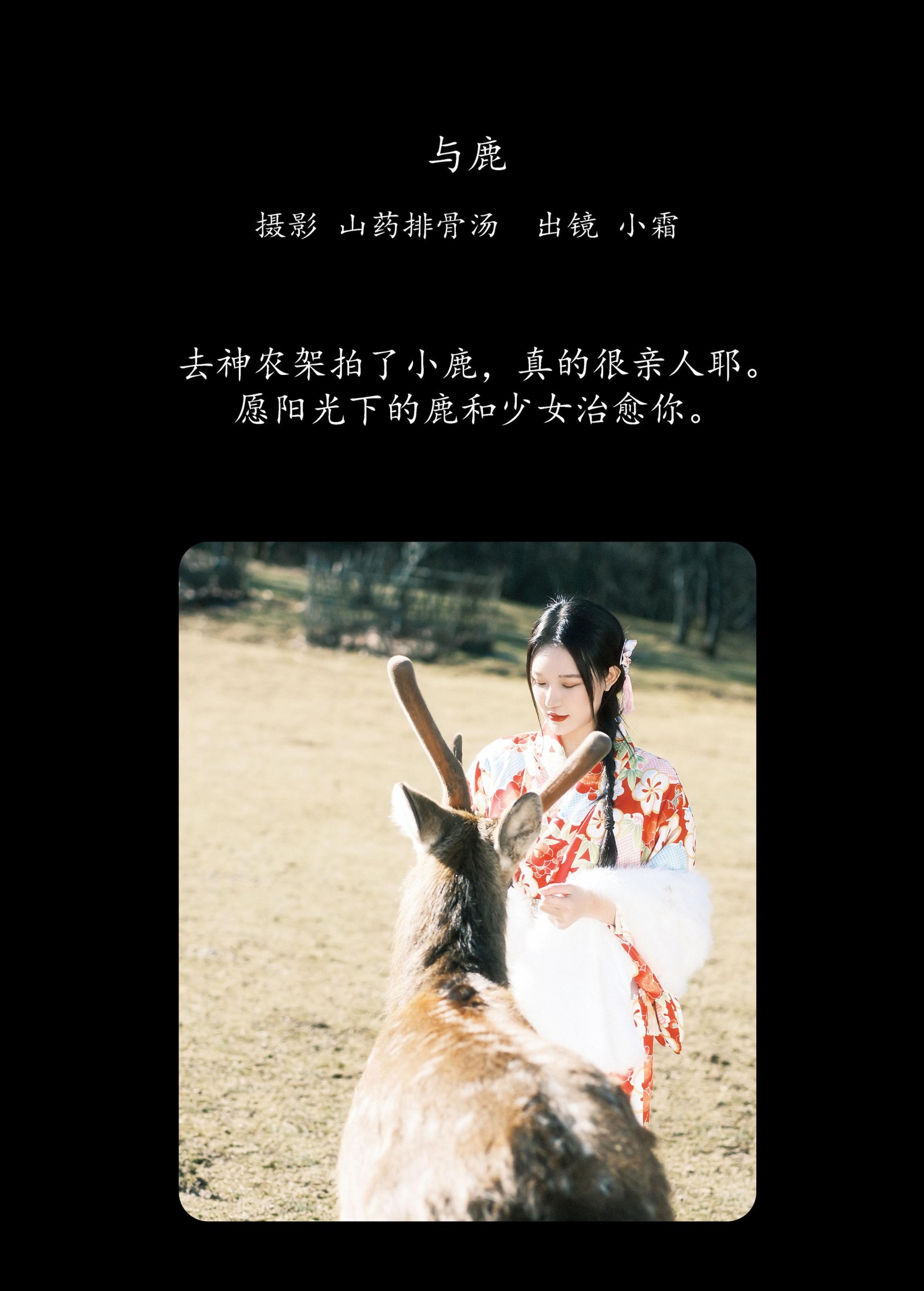 小霜 – 《与鹿》[20P] 插图2